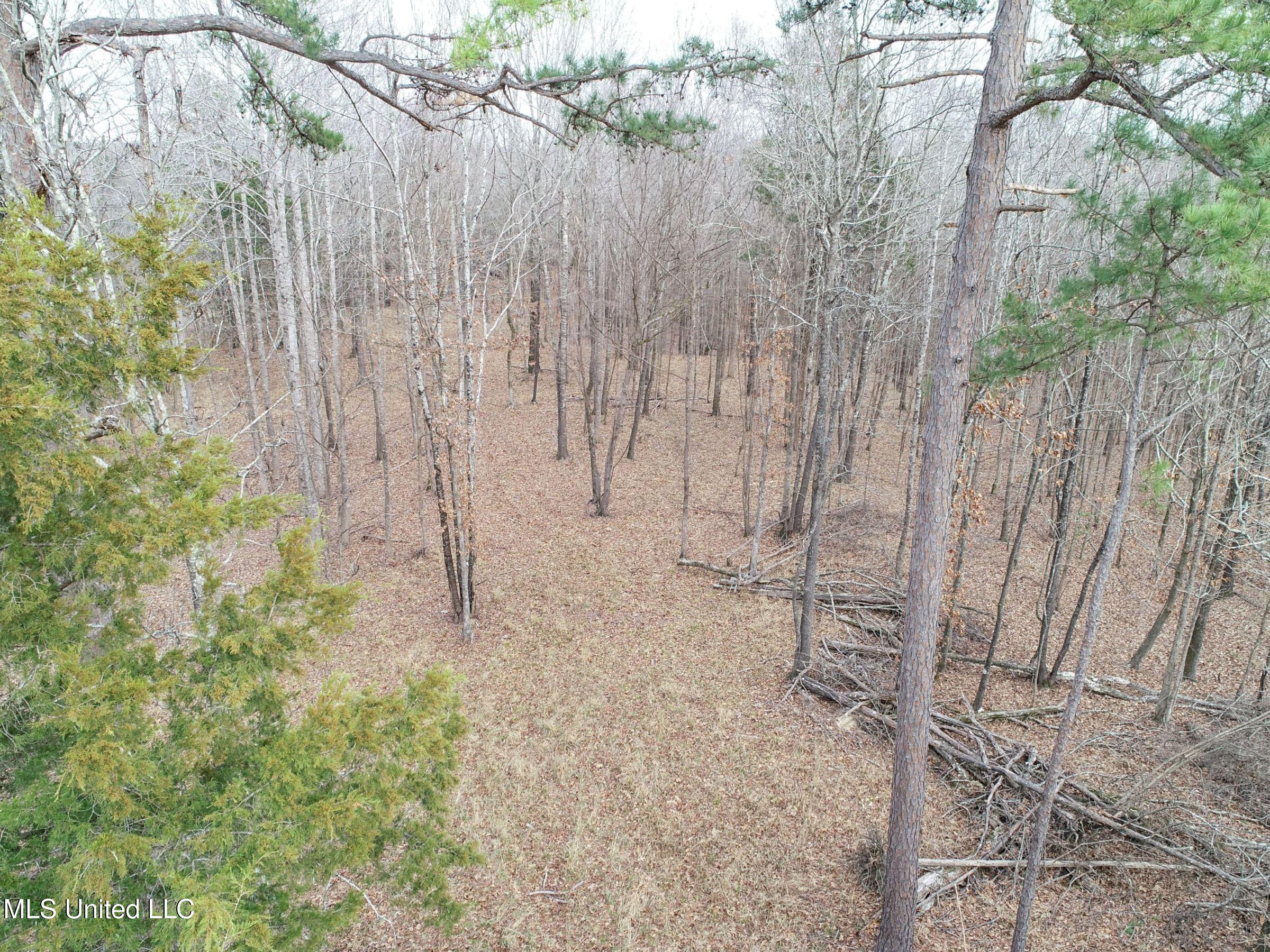 Anderson Road Lexington, MS 39095 - Photo 48 of 96 3lxtg38