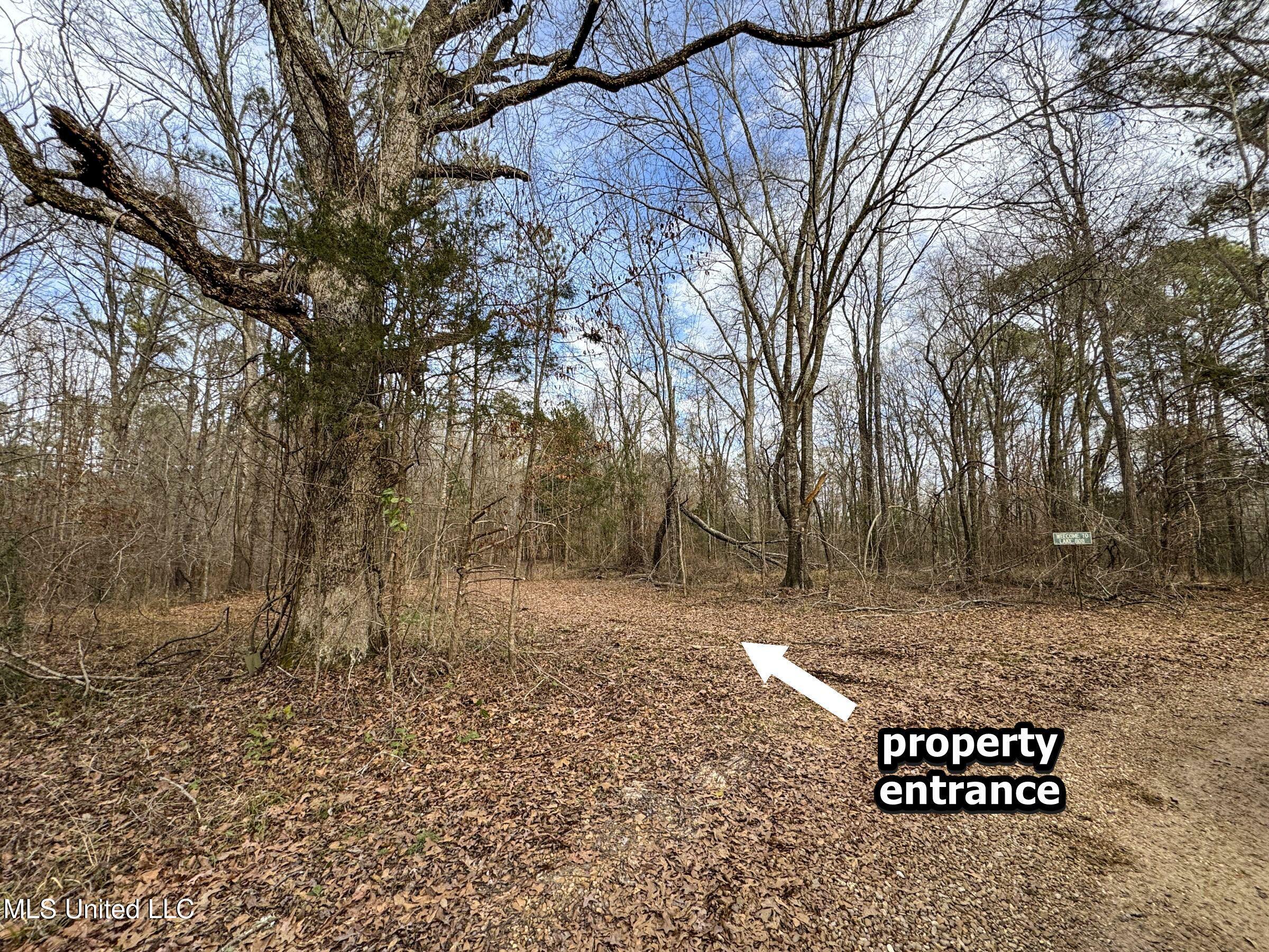 Anderson Road Lexington, MS 39095 - Photo 52 of 96 2lxdnh8b