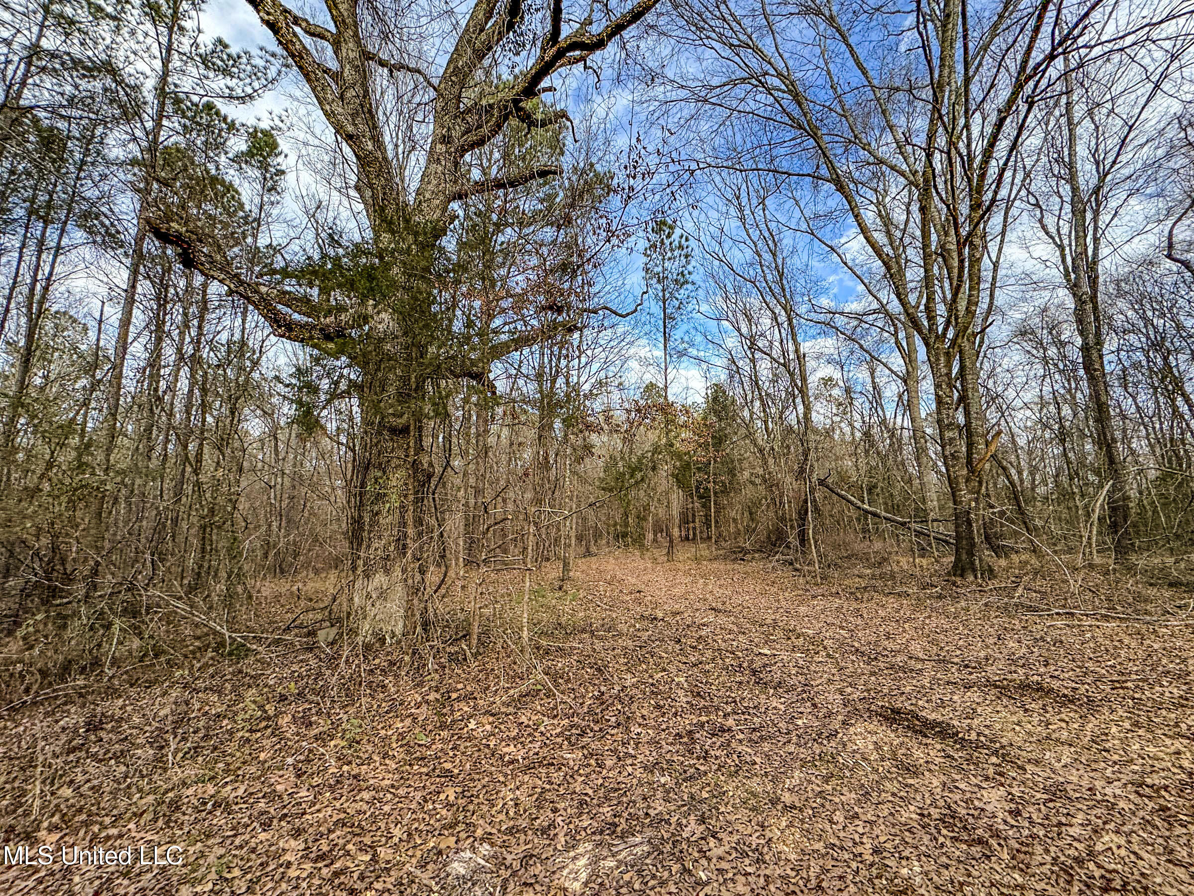 Anderson Road Lexington, MS 39095 - Photo 53 of 96 2lxdnh9