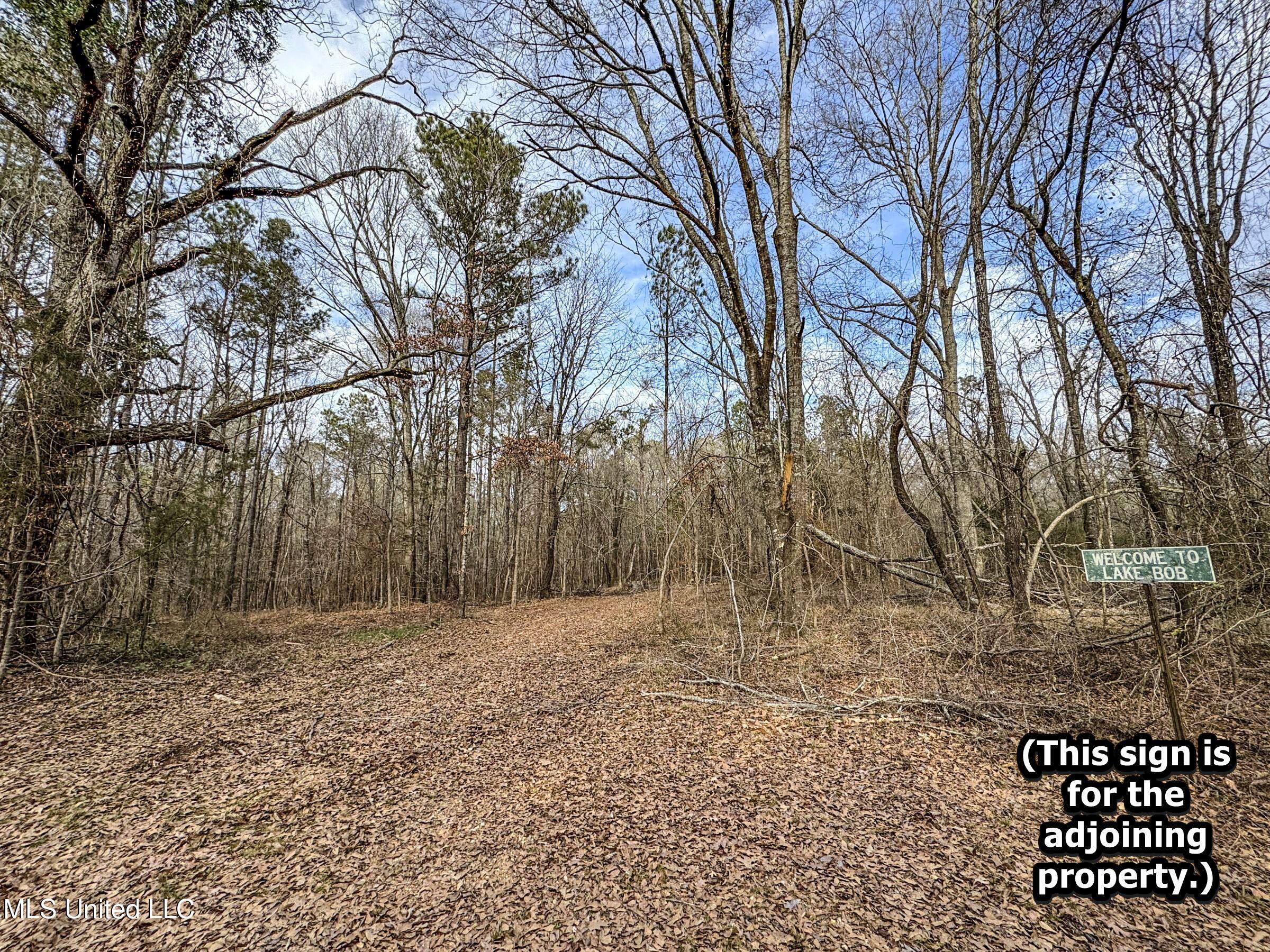 Anderson Road Lexington, MS 39095 - Photo 54 of 96 2lxdnh10b