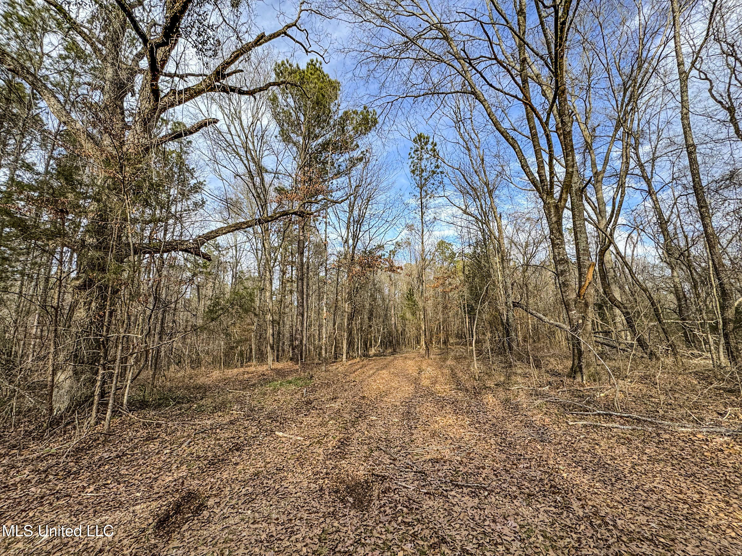 Anderson Road Lexington, MS 39095 - Photo 55 of 96 2lxdnh12