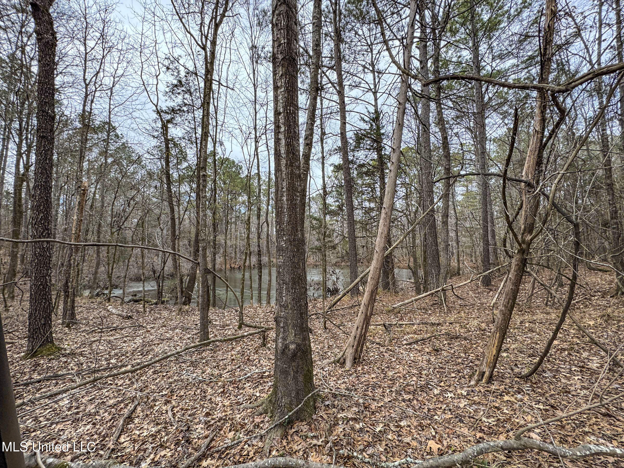 Anderson Road Lexington, MS 39095 - Photo 56 of 96 2lxdnh14