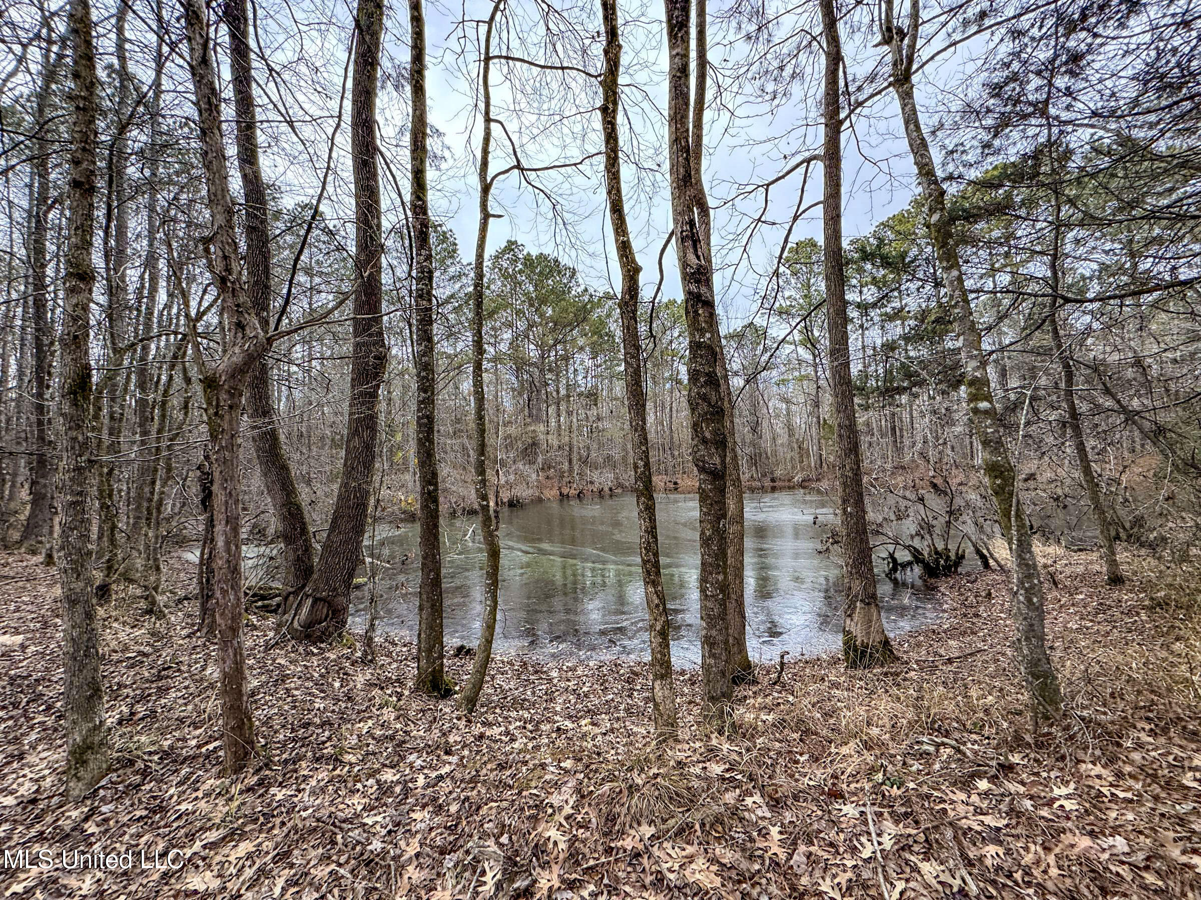 Anderson Road Lexington, MS 39095 - Photo 57 of 96 3lxdnh2