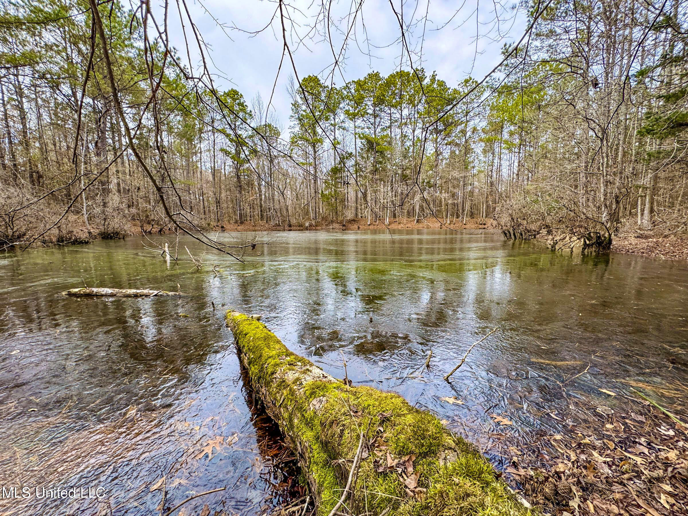 Anderson Road Lexington, MS 39095 - Photo 59 of 96 3lxdnh7