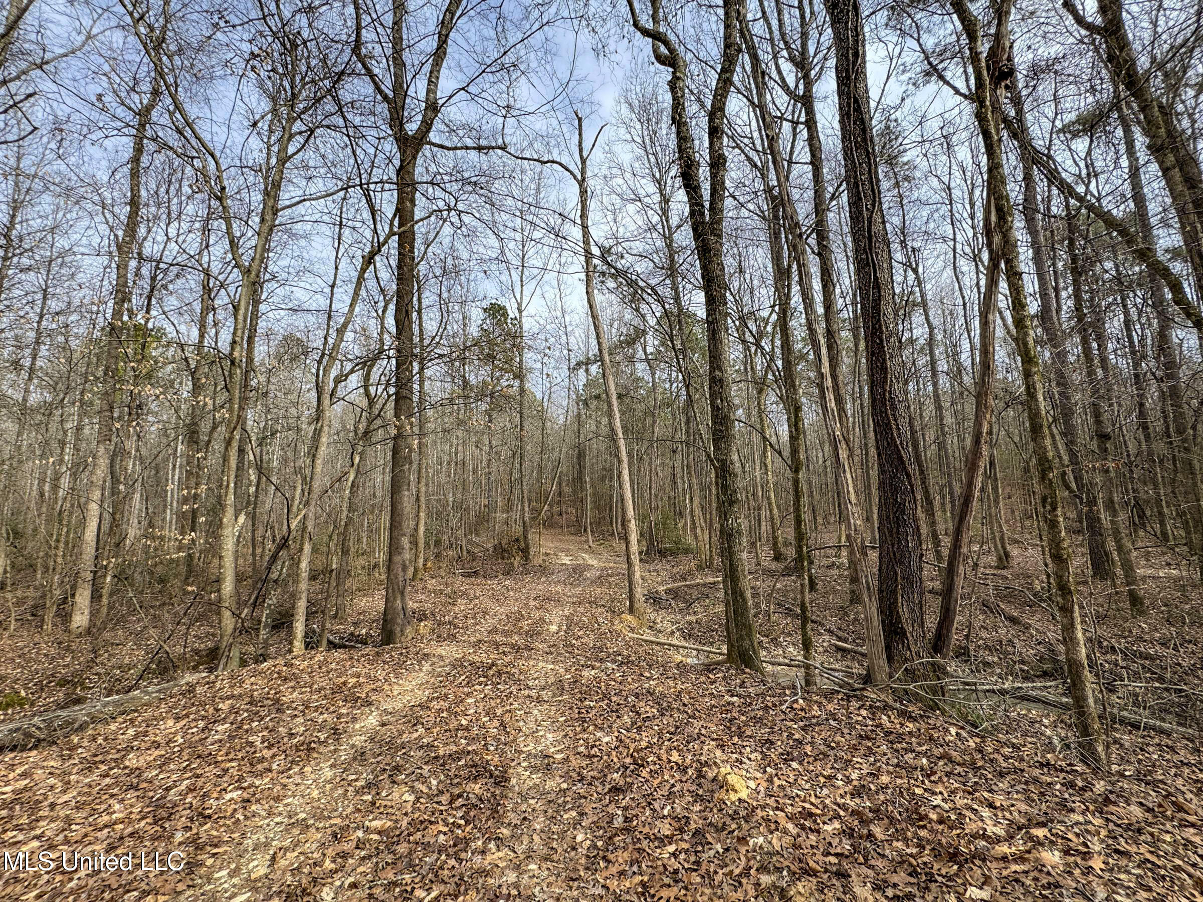 Anderson Road Lexington, MS 39095 - Photo 62 of 96 3lxdnh10