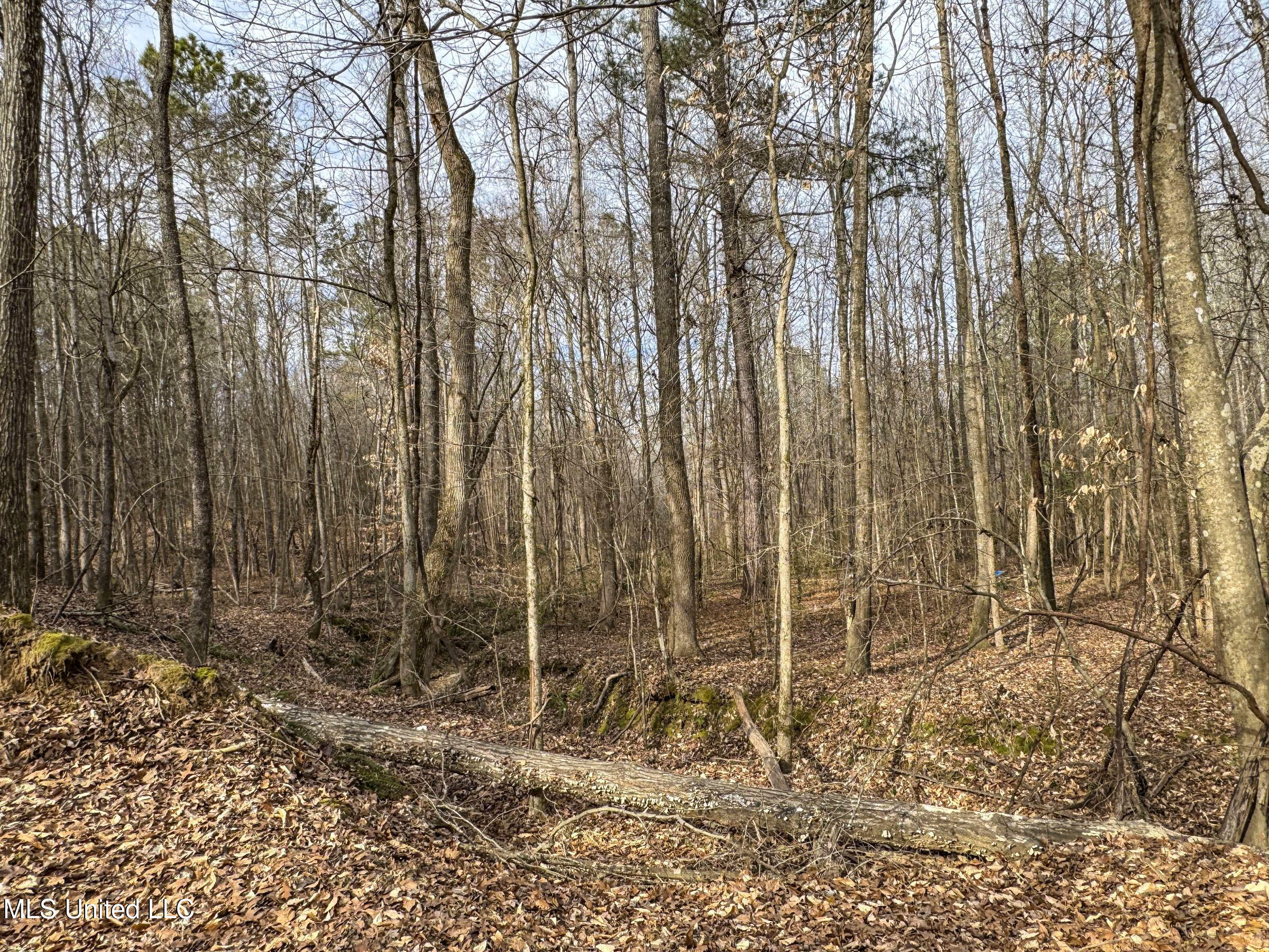 Anderson Road Lexington, MS 39095 - Photo 63 of 96 3lxdnh11