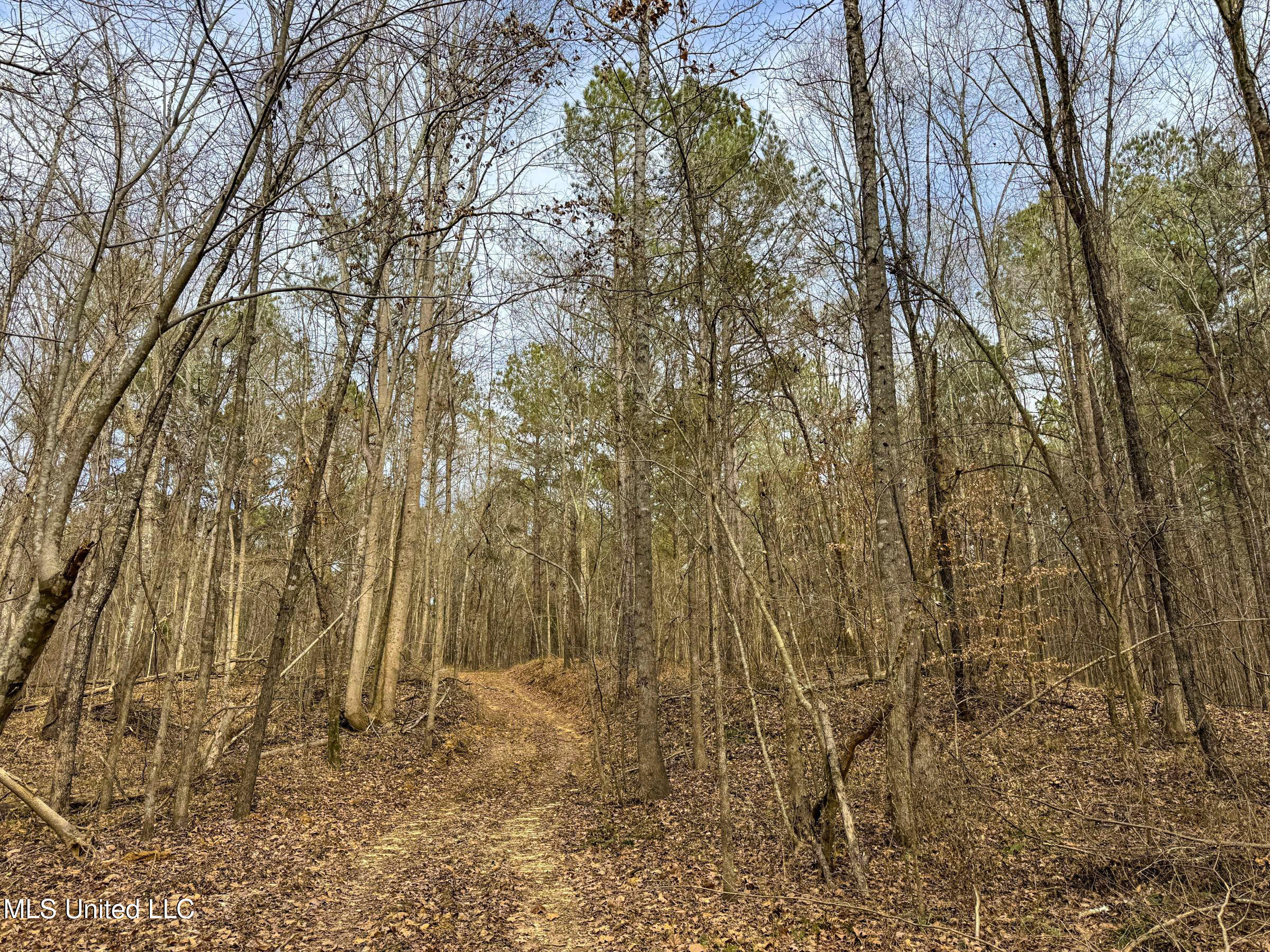 Anderson Road Lexington, MS 39095 - Photo 71 of 96 3lxdnh23