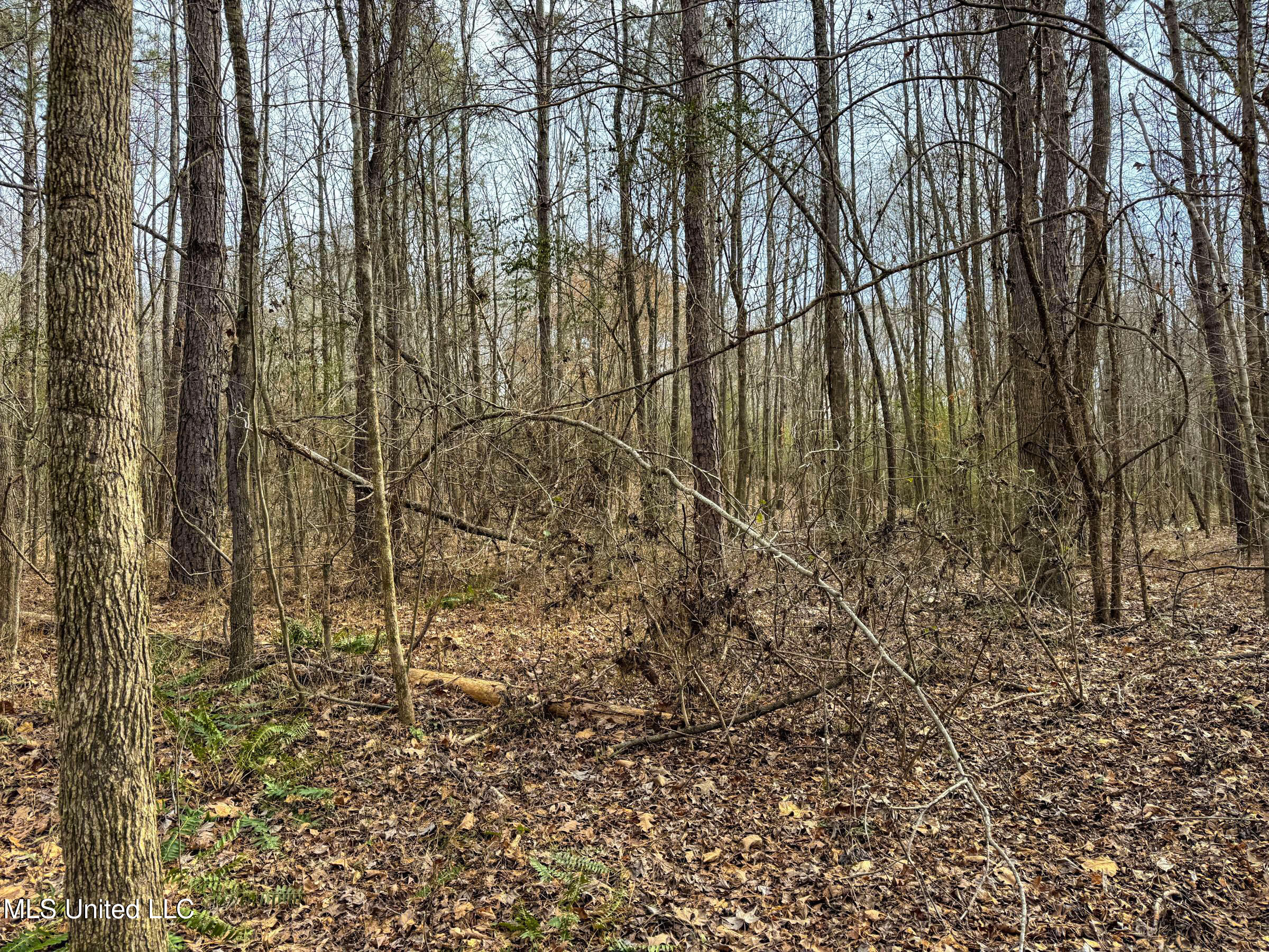 Anderson Road Lexington, MS 39095 - Photo 72 of 96 3lxdnh24