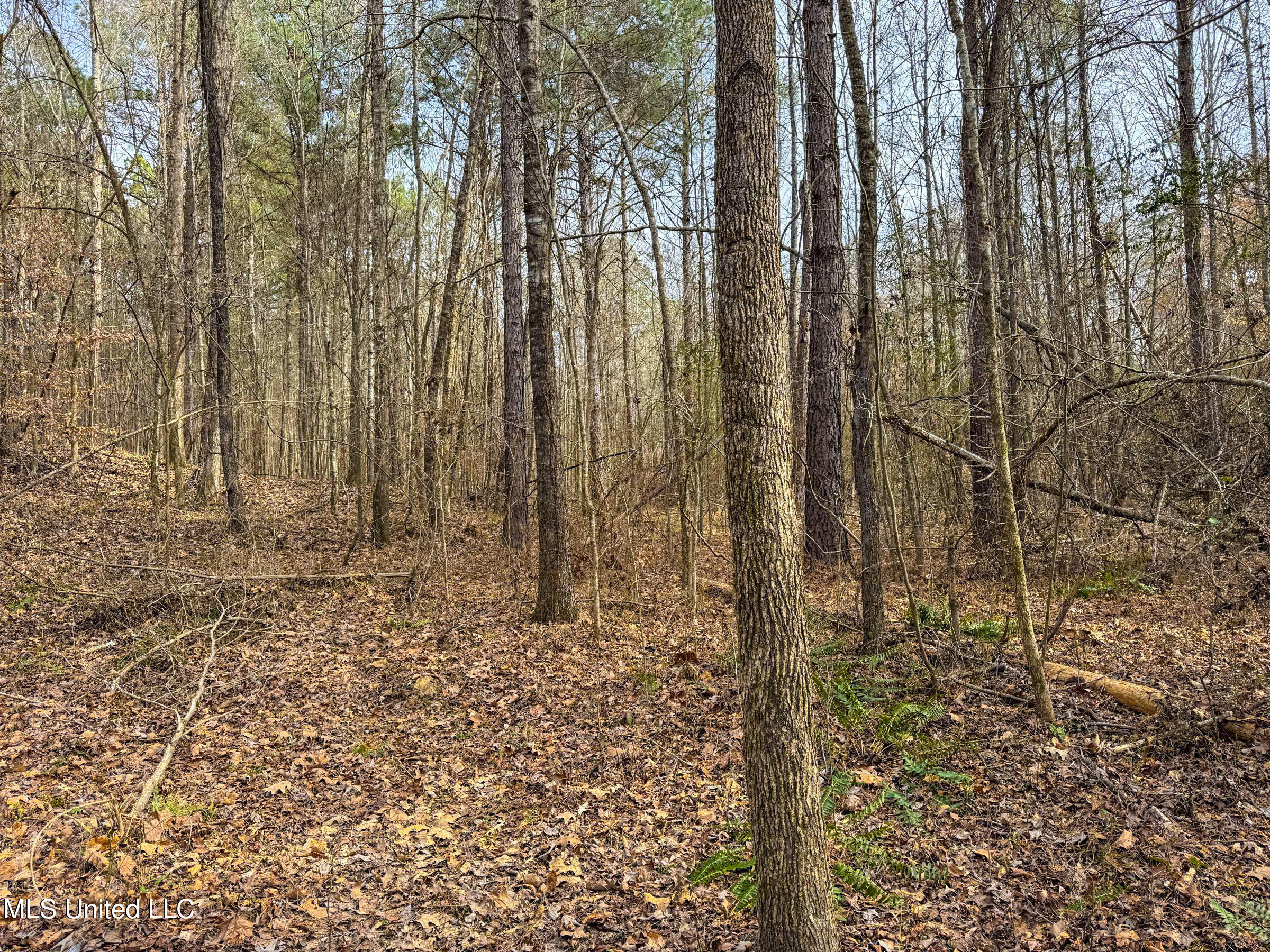 Anderson Road Lexington, MS 39095 - Photo 73 of 96 3lxdnh25