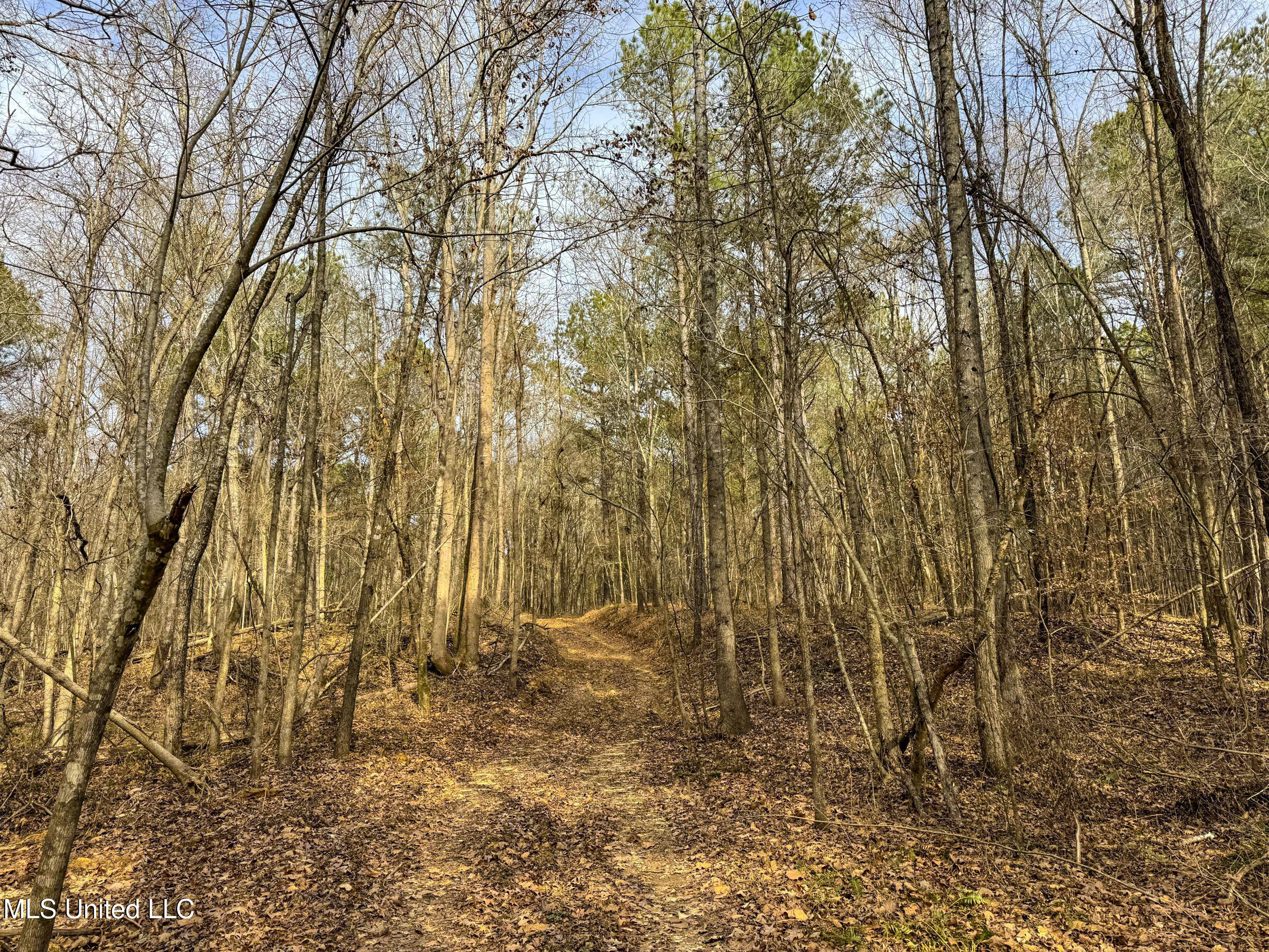 Anderson Road Lexington, MS 39095 - Photo 74 of 96 3lxdnh26