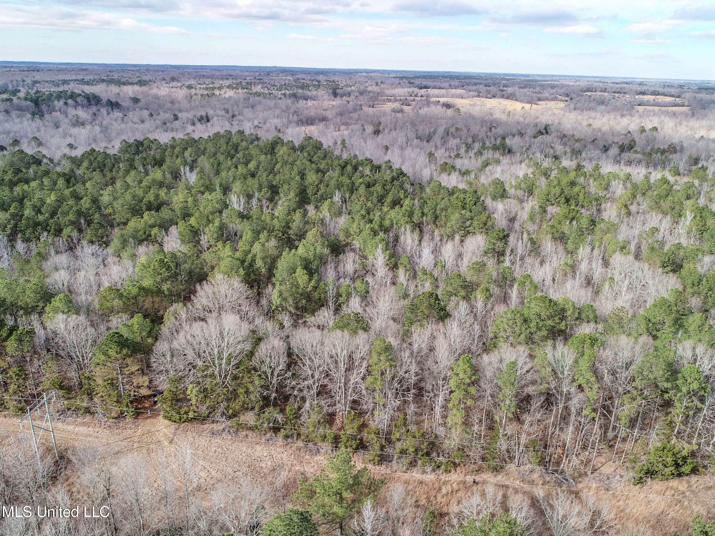 Anderson Road Lexington, MS 39095 - Photo 8 of 96 3lxtg1