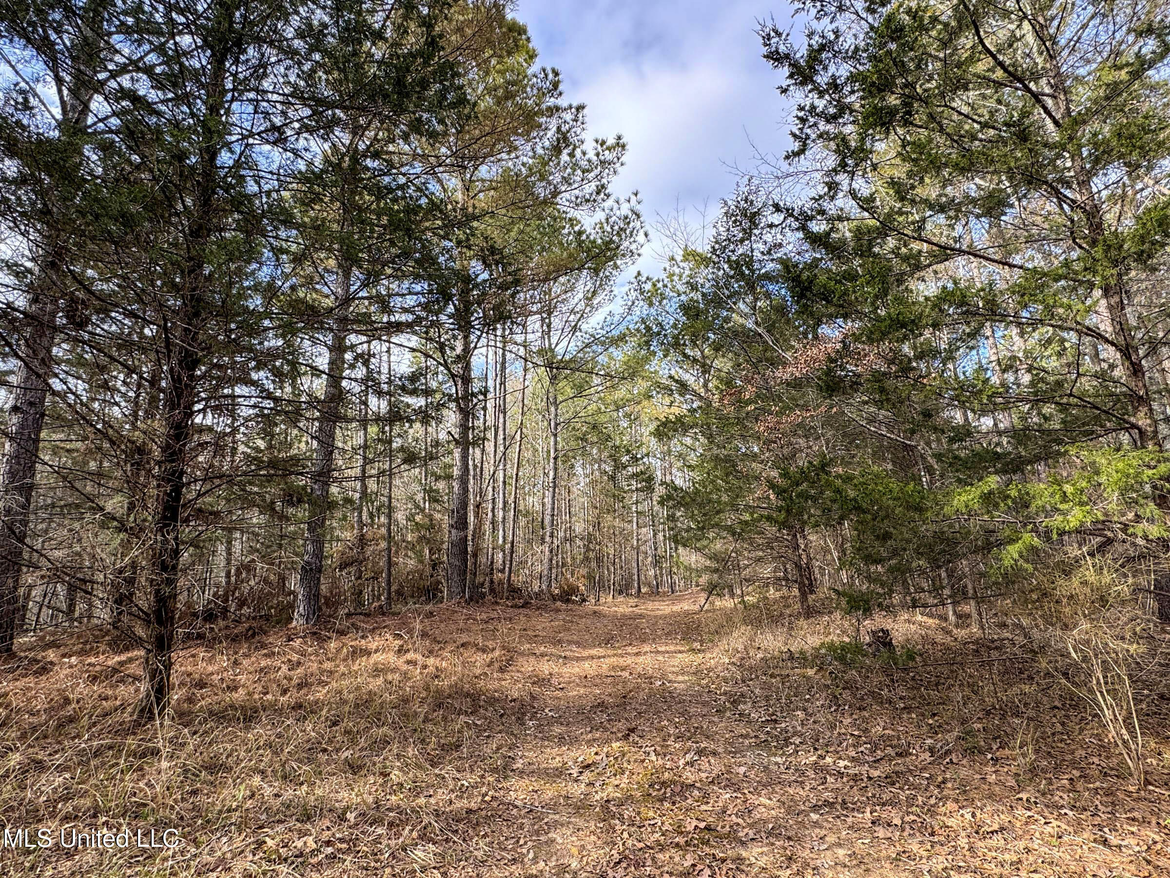 Anderson Road Lexington, MS 39095 - Photo 84 of 96 3lxdnh37
