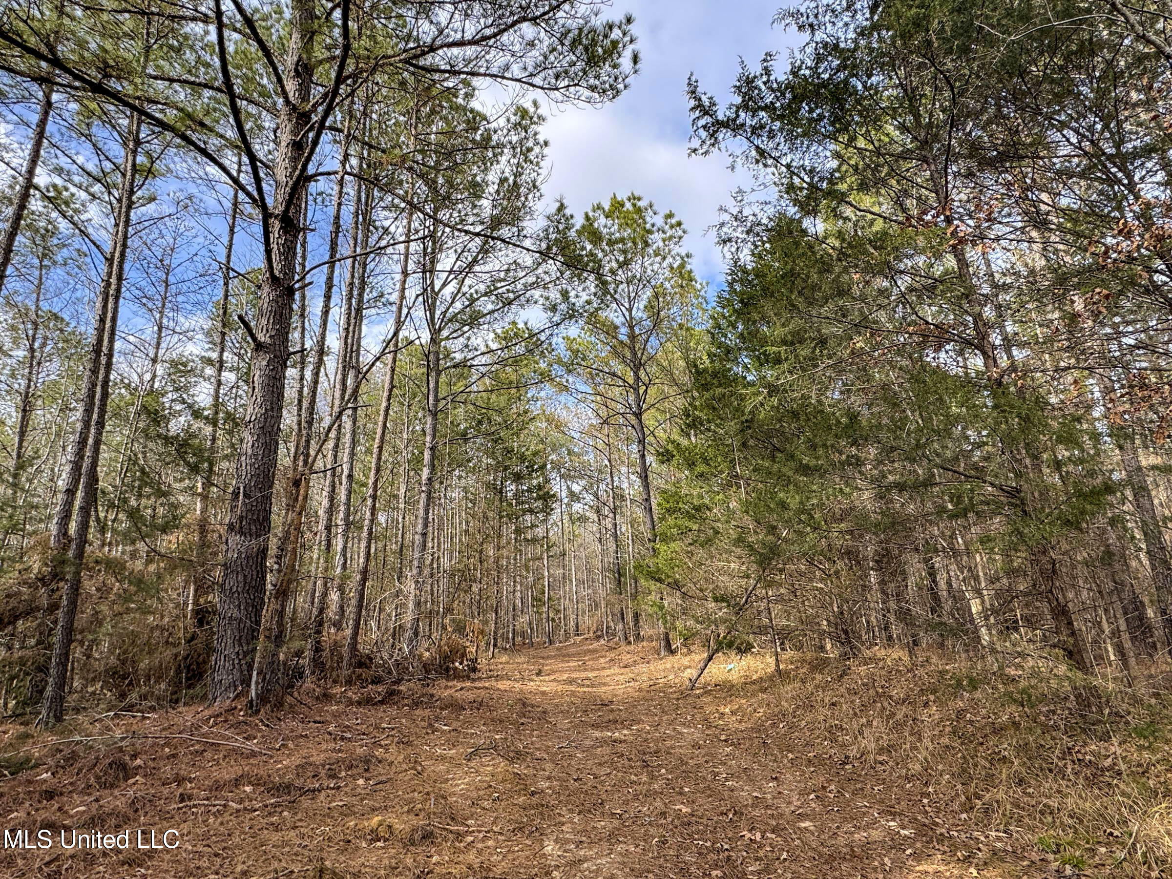 Anderson Road Lexington, MS 39095 - Photo 85 of 96 3lxdnh38