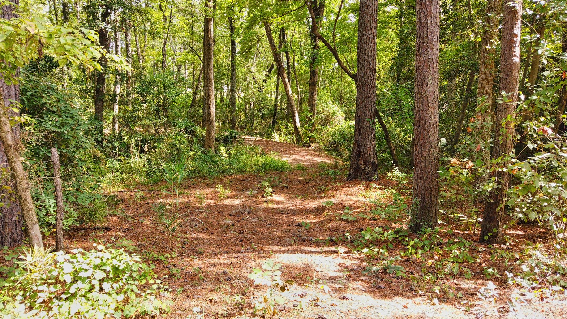 145 Good Barn Road Vass, NC 28394 - Photo 19 of 37 DJI_0097
