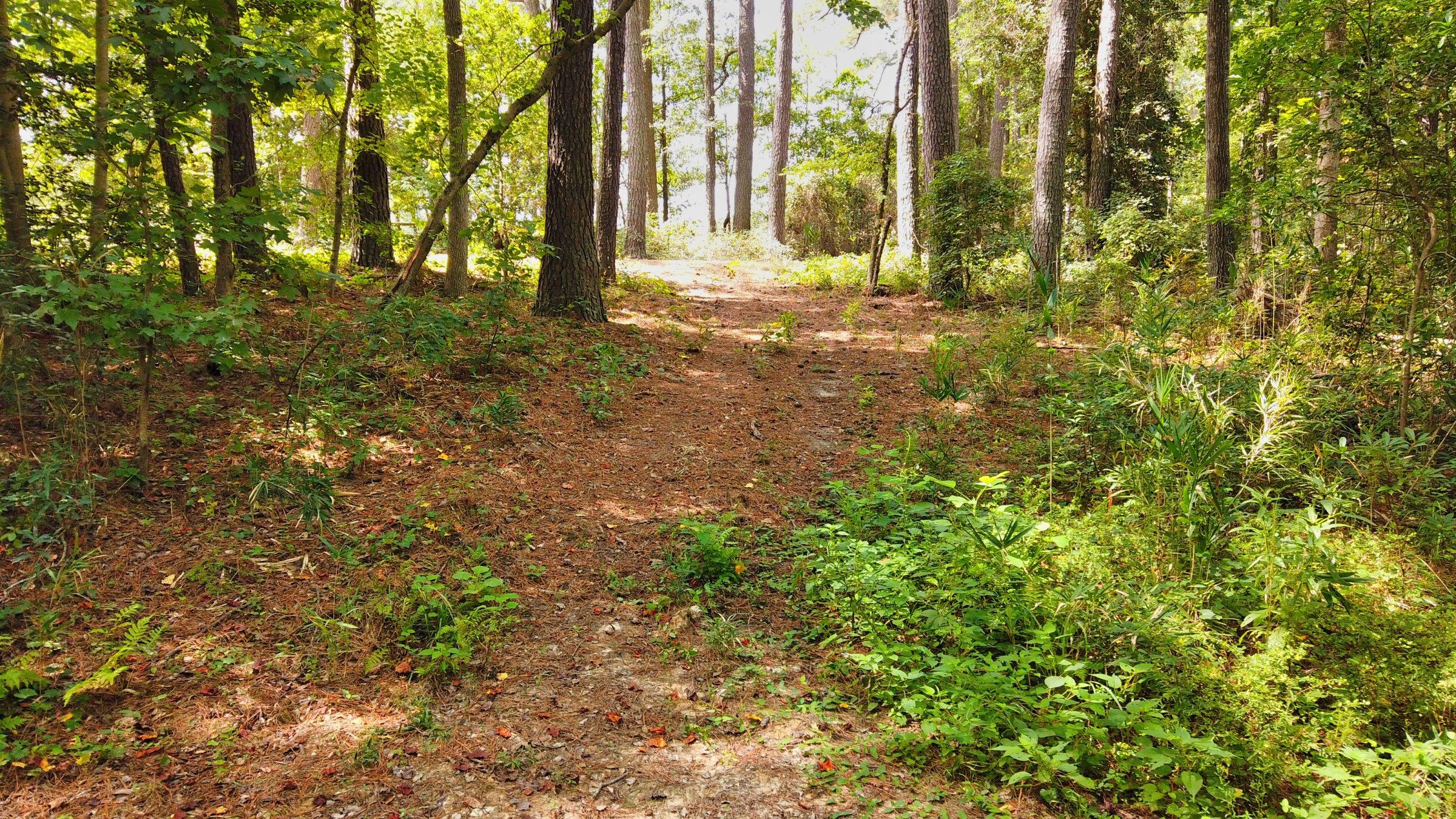 145 Good Barn Road Vass, NC 28394 - Photo 20 of 37 DJI_0099