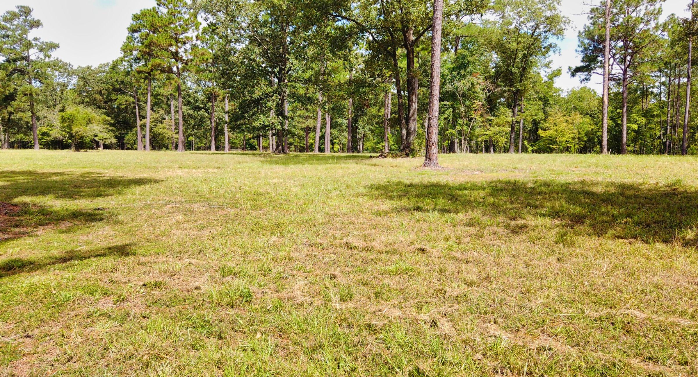 145 Good Barn Road Vass, NC 28394 - Photo 22 of 37 DJI_0105
