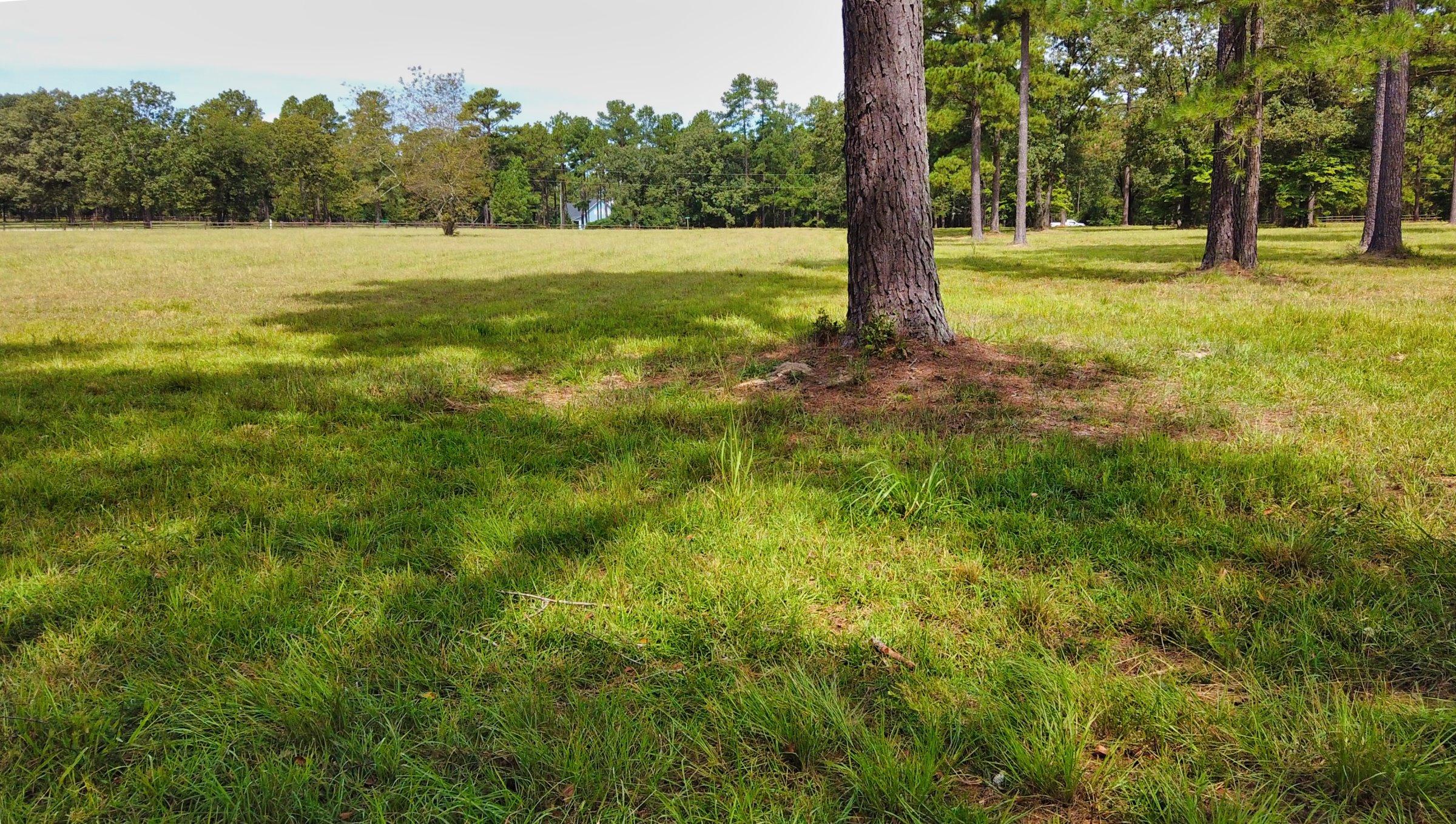 145 Good Barn Road Vass, NC 28394 - Photo 23 of 37 DJI_0106