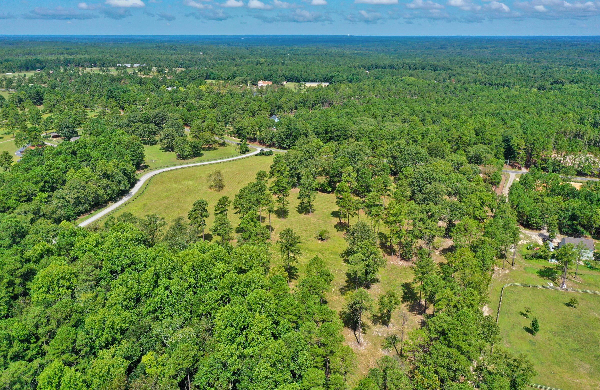 145 Good Barn Road Vass, NC 28394 - Photo 25 of 37 DJI_0889