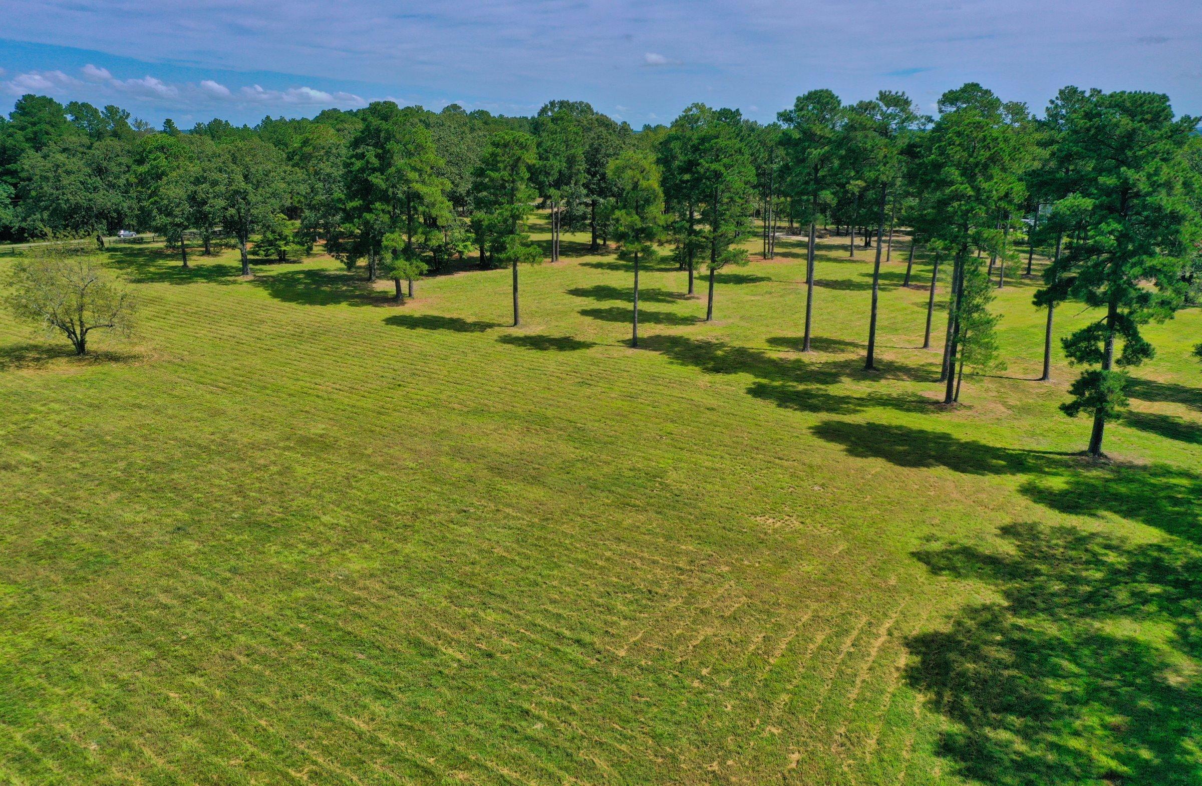 145 Good Barn Road Vass, NC 28394 - Photo 3 of 37 DJI_0901
