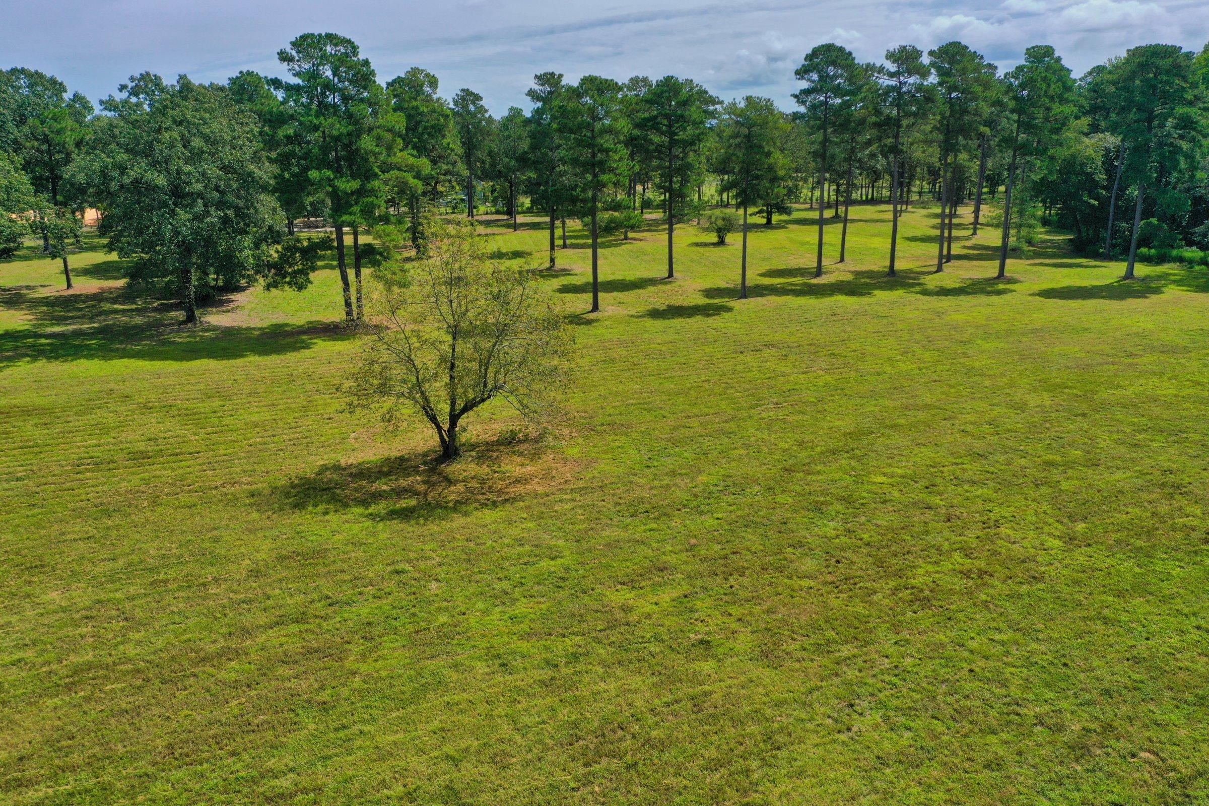 145 Good Barn Road Vass, NC 28394 - Photo 10 of 37 DJI_0908