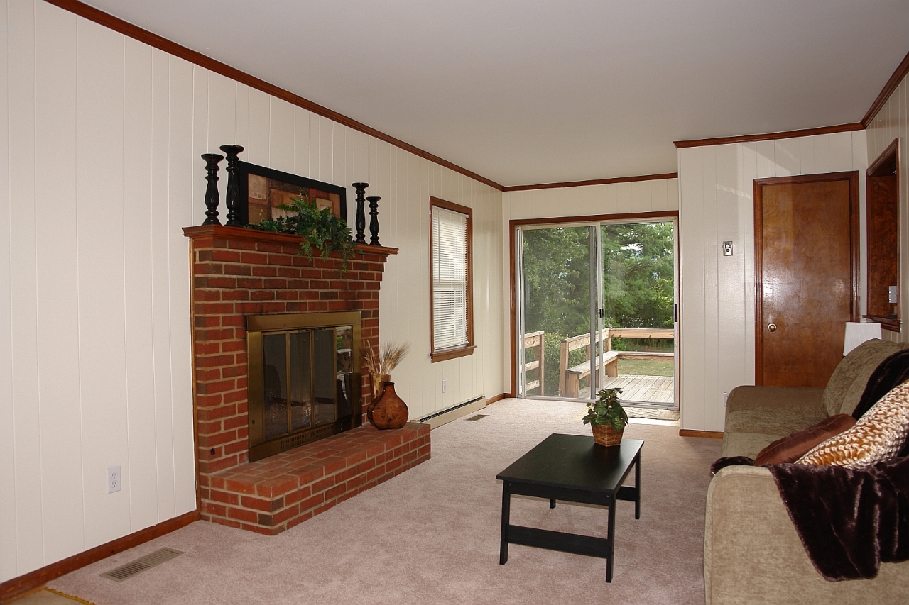 254 Post Road Roanoke, VA 24019 - Photo 11 of 25 a living room with furniture and a fireplace