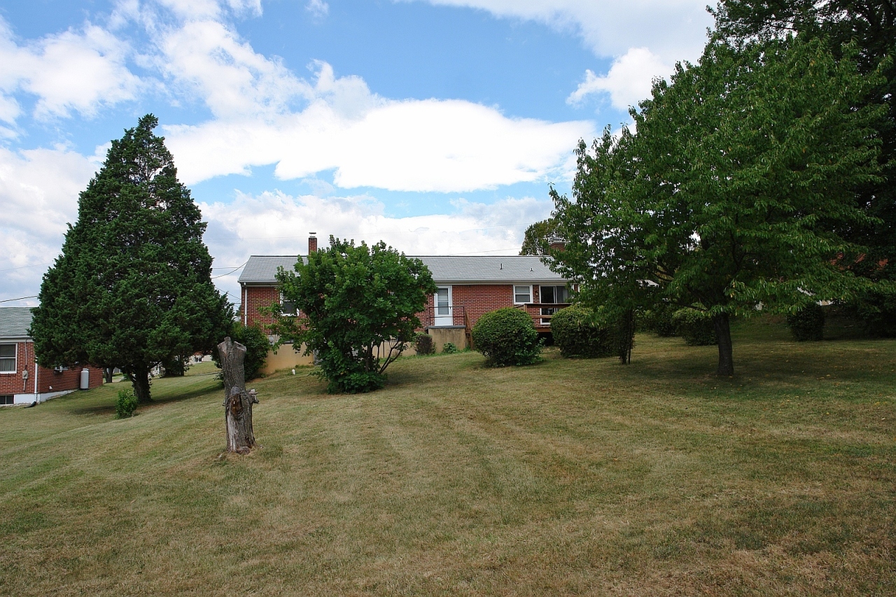 254 Post Road Roanoke, VA 24019 - Photo 23 of 25 a view of a tree in front of a house