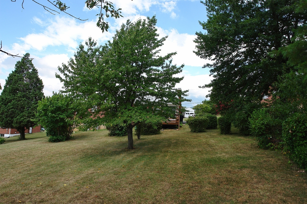 254 Post Road Roanoke, VA 24019 - Photo 24 of 25 a view of outdoor space with trees