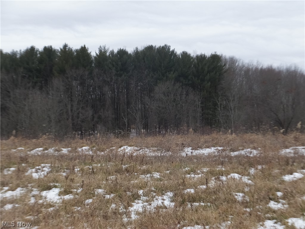 V/l Kline Road Rootstown, OH 44272 - Photo 3 of 7