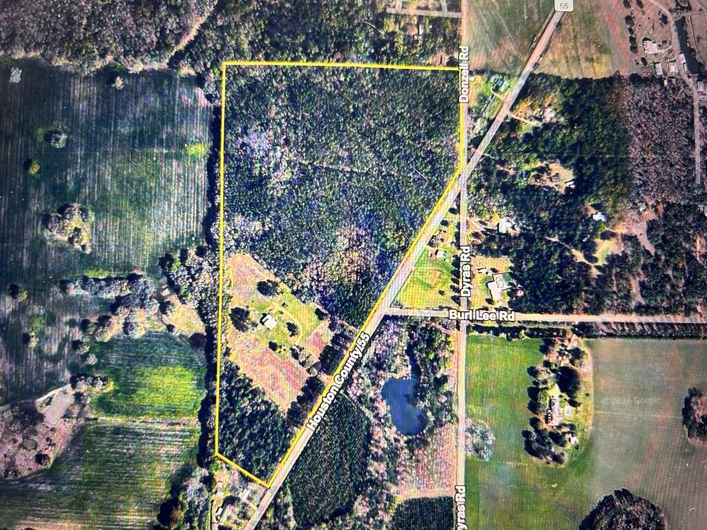 8350 South Co Road Cottonwood, AL 36320 - Photo 53 of 79 Gallery Image 53