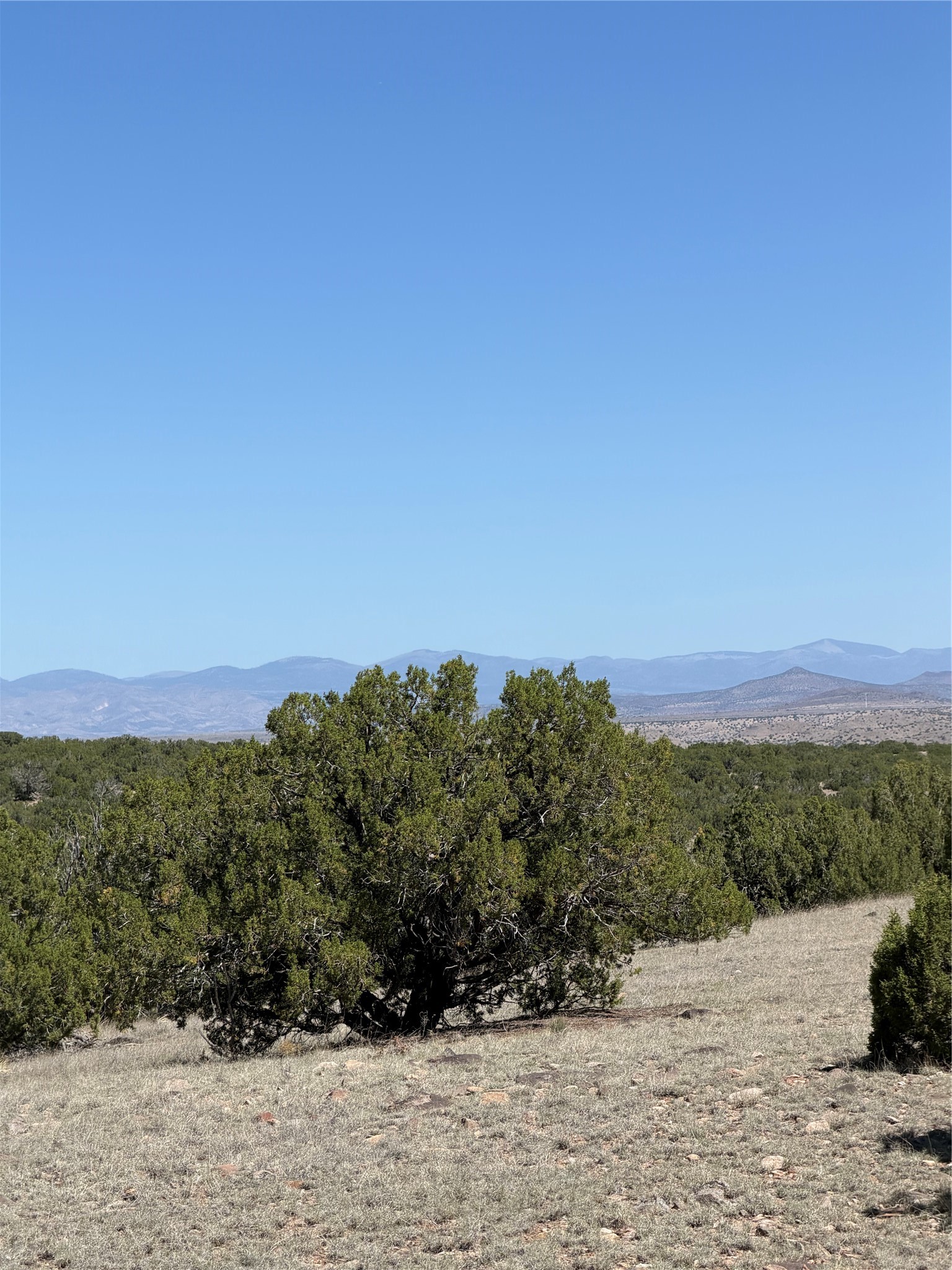7 C Rancho De Shama, Unit A Cerrillos, NM 87010 - Photo 14 of 19