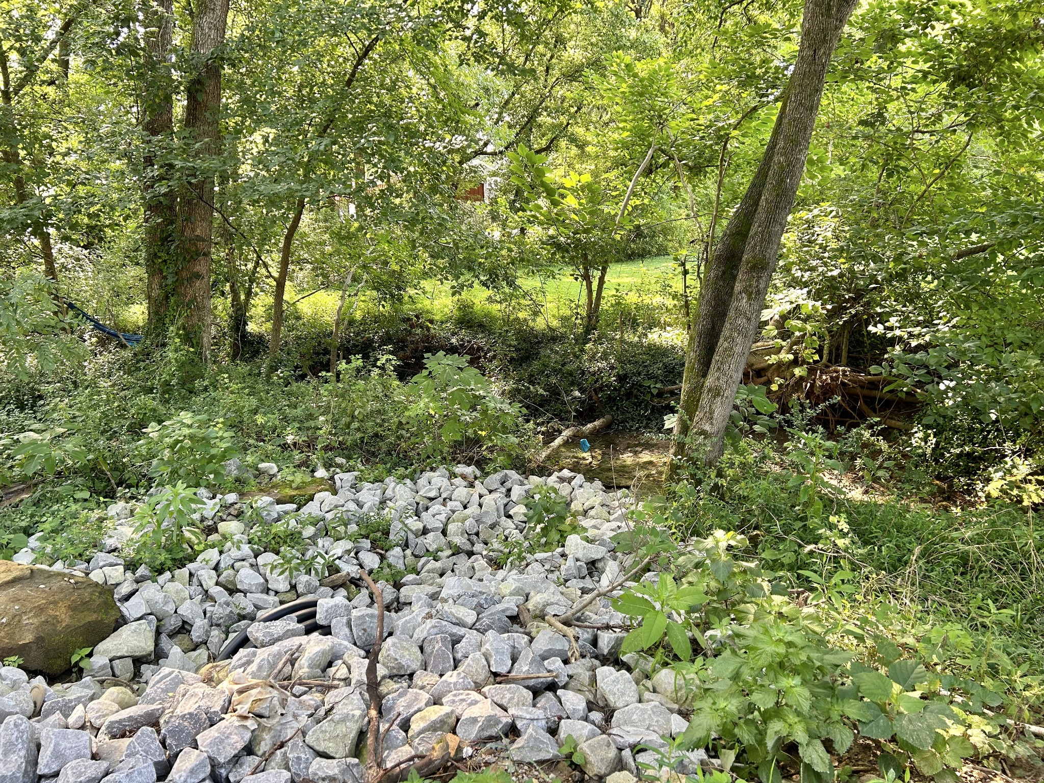 521 South Spring Street Manchester, TN 37355 - Photo 12 of 13 Gallery Image 12