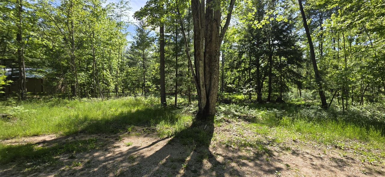 4869 East Free Soil Road Free Soil, MI 49411 - Photo 11 of 39