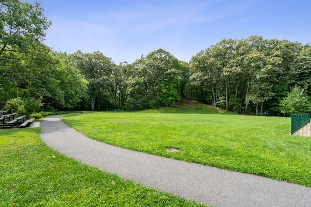 36 Intervale Road Waltham, MA 02453 - Photo 35 of 38 a view of a garden with a tree in the background
