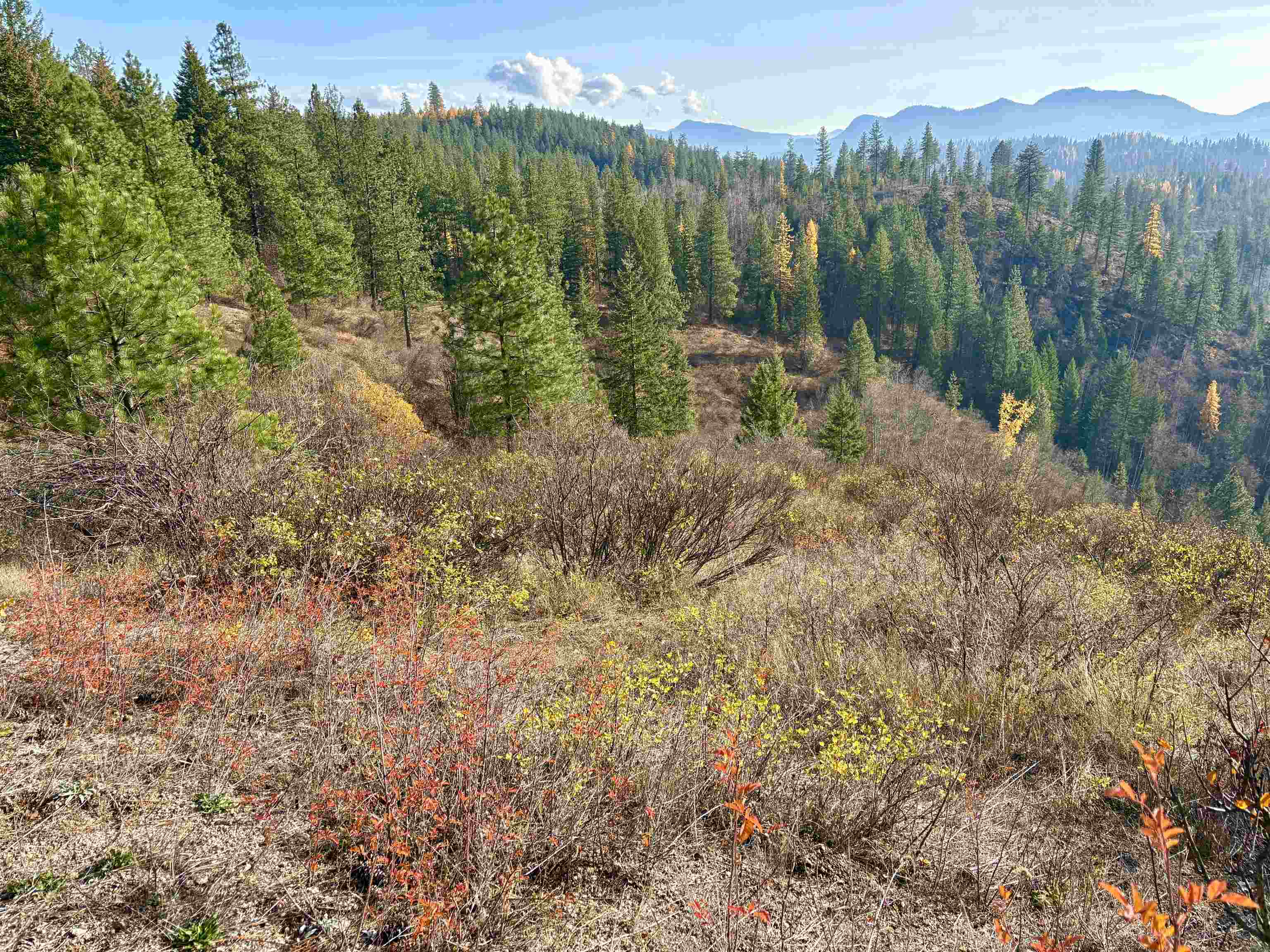 Xx North Xx N Leclerc Road Cusick, WA 99119 - Photo 13 of 19