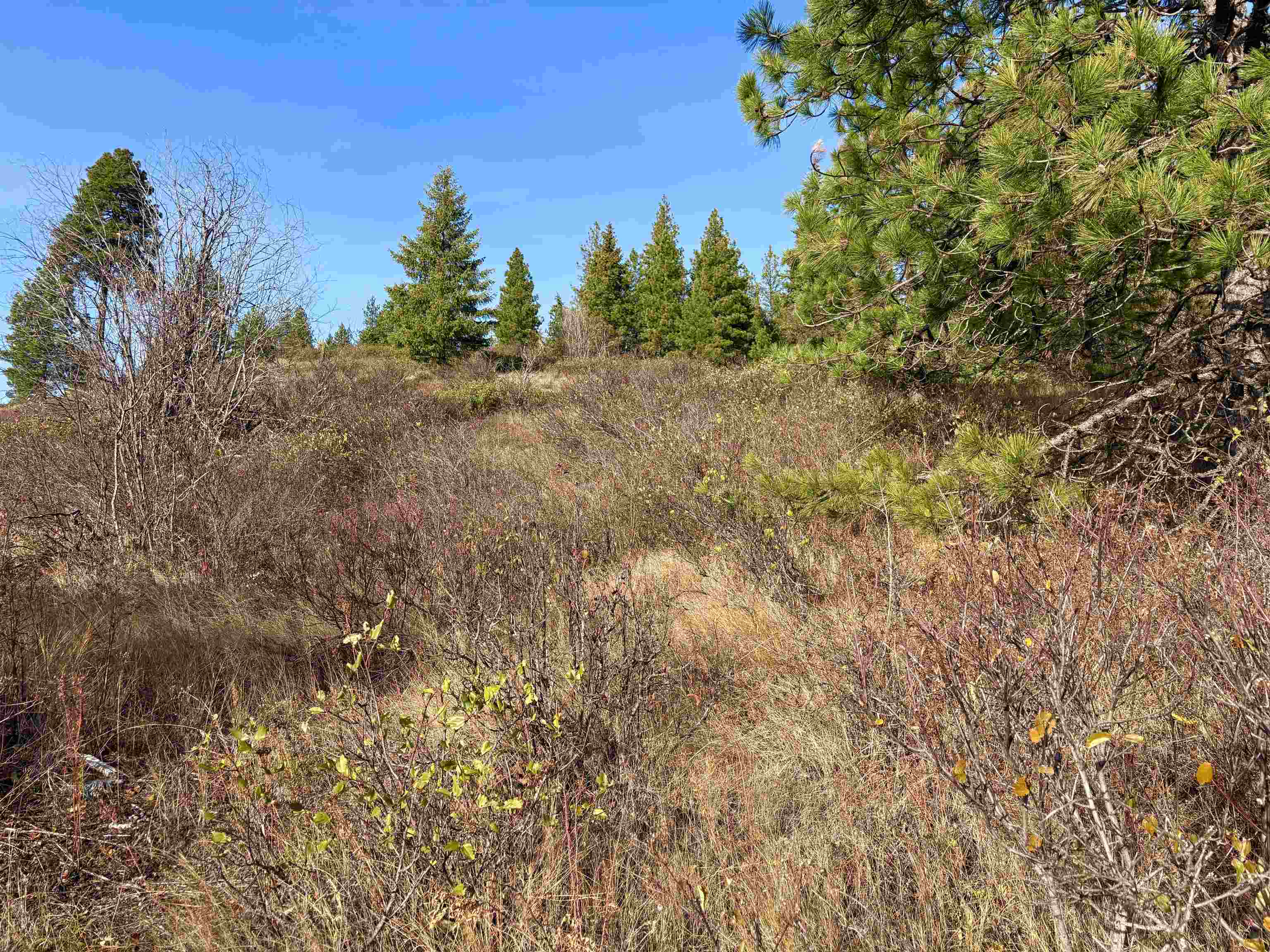 Xx North Xx N Leclerc Road Cusick, WA 99119 - Photo 15 of 19