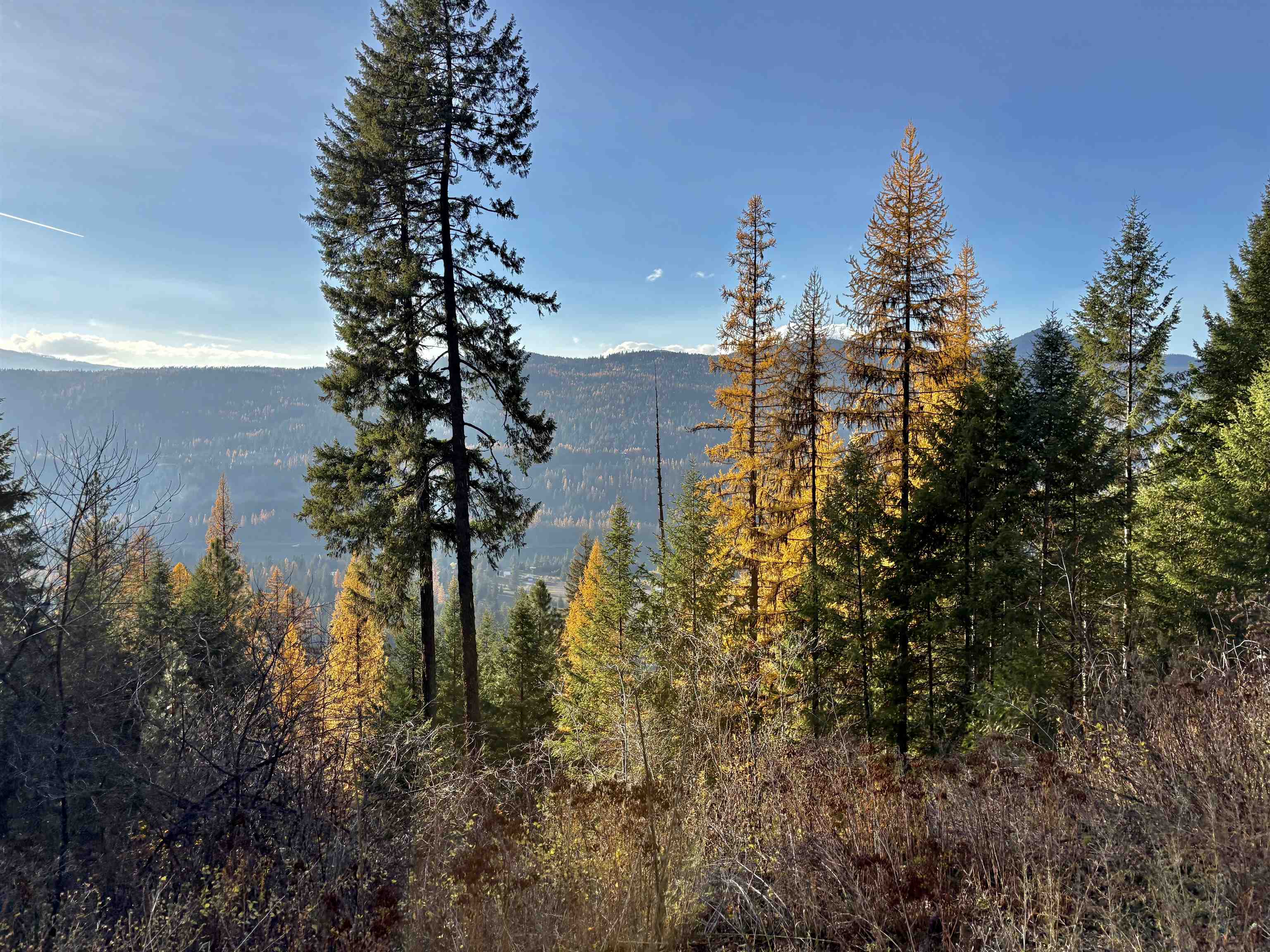 Xx North Xx N Leclerc Road Cusick, WA 99119 - Photo 4 of 19