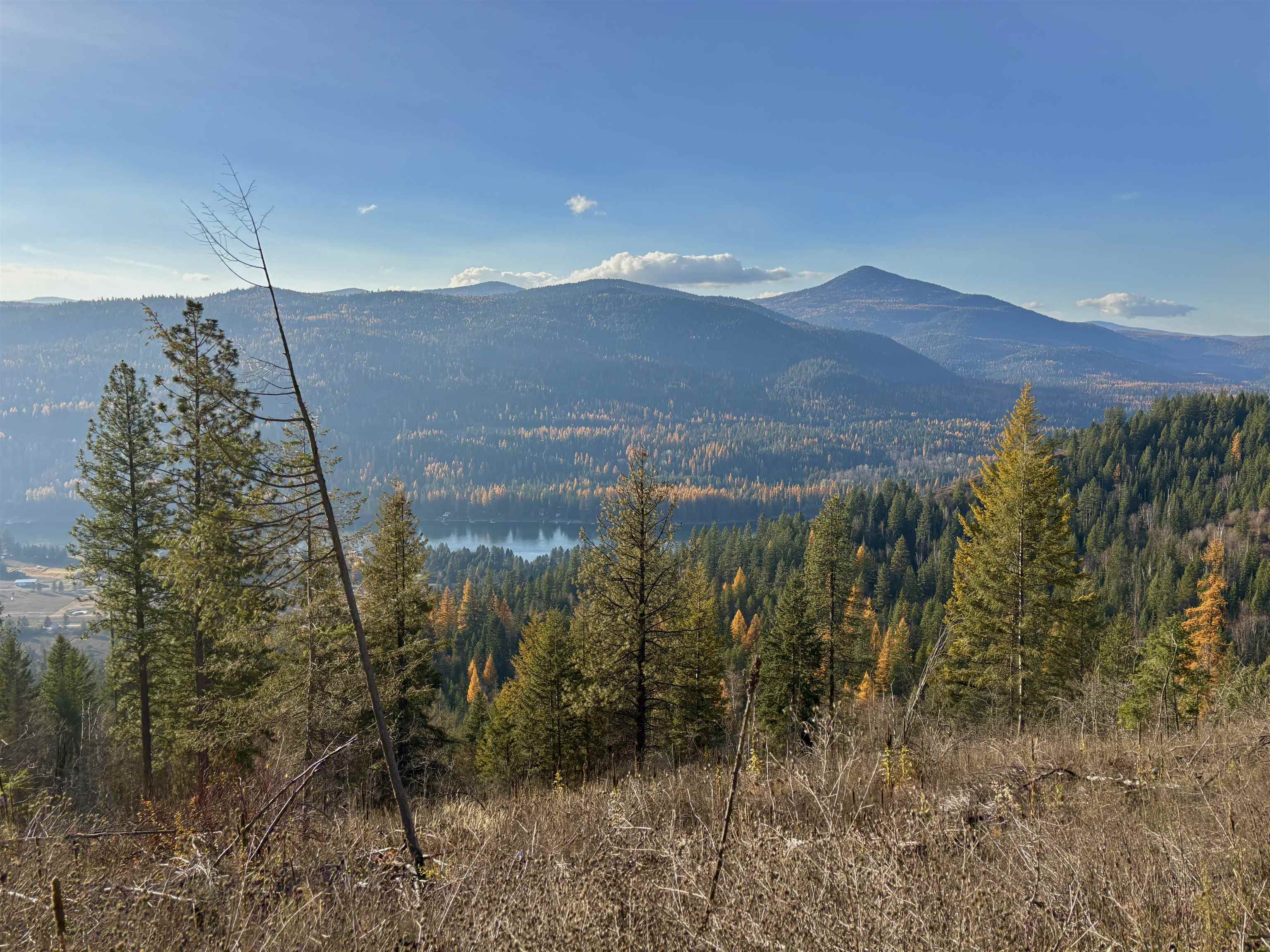 Xx North Xx N Leclerc Road Cusick, WA 99119 - Photo 6 of 19