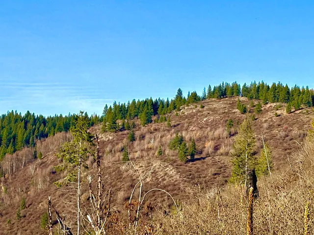 $110,000 | Xx North Xx N Leclerc Road, Cusick, WA 99119