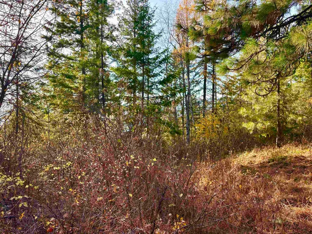 $110,000 | Xx North Xx N Leclerc Road, Cusick, WA 99119