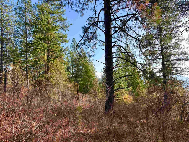 $110,000 | Xx North Xx N Leclerc Road, Cusick, WA 99119