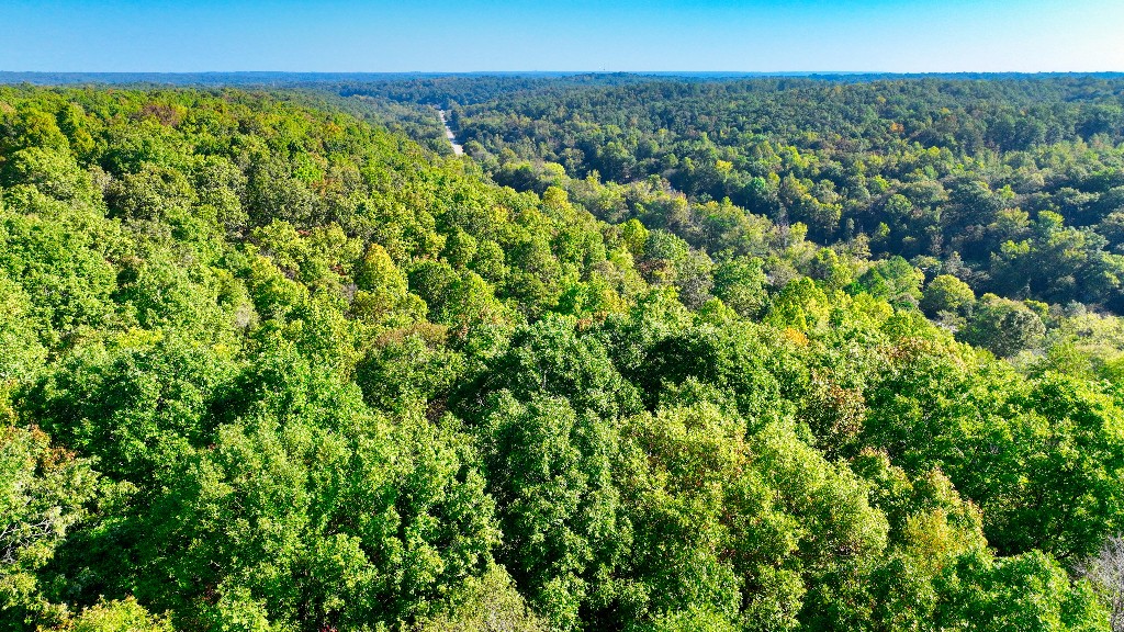 1 Little Piney Road Centerville, TN 37033 - Photo 7 of 16 Gallery Image 7