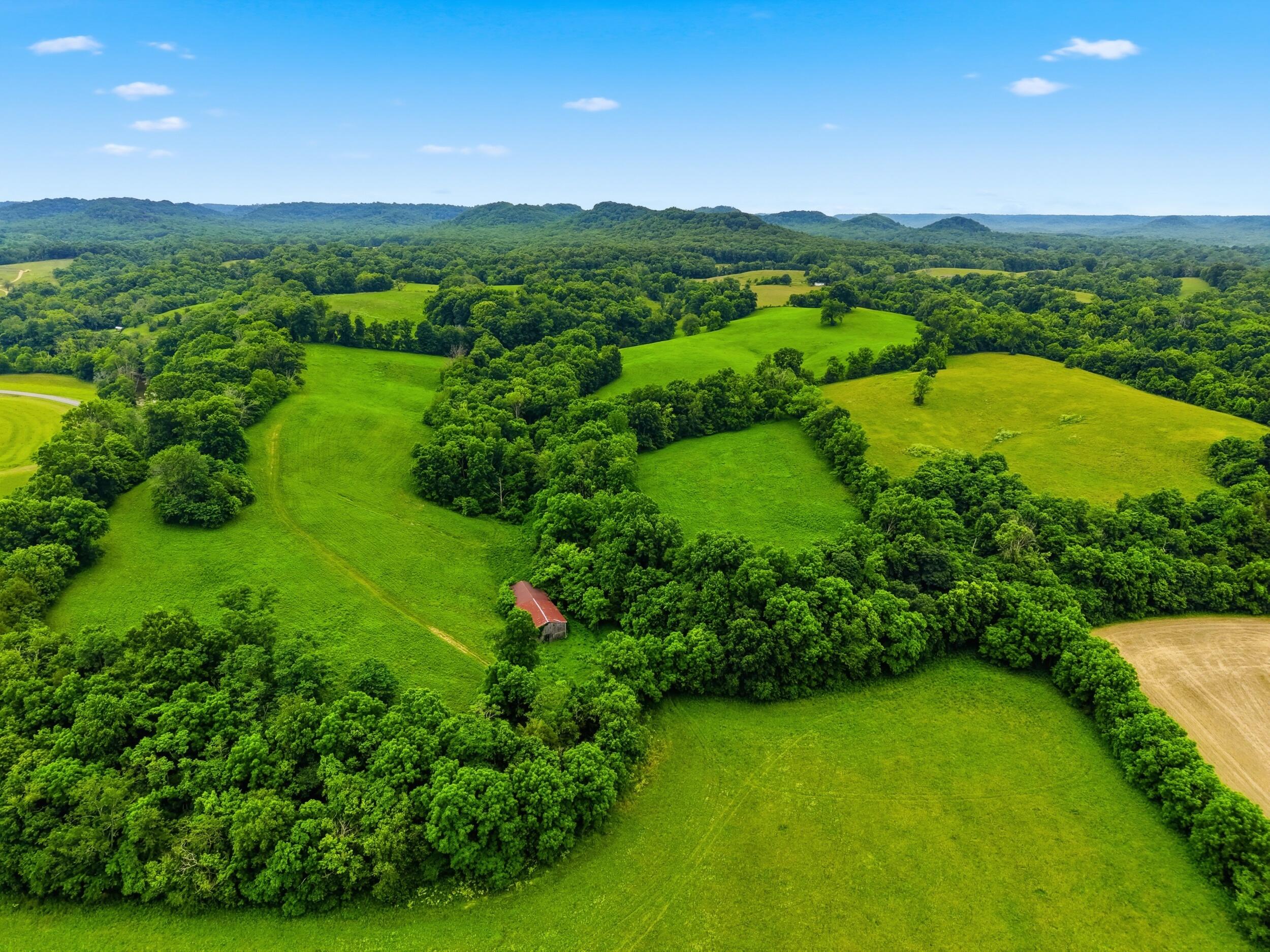 17412 Forkland Road Gravel Switch, KY 40328 - Photo 50 of 63 Forkland_drone_009