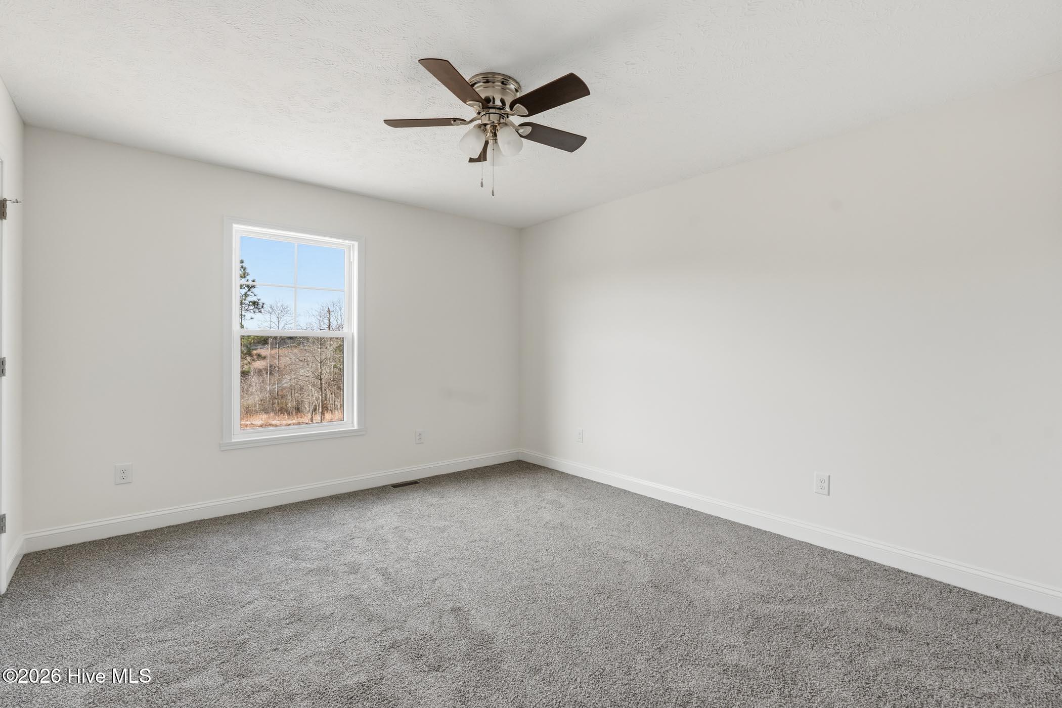 344 Adelia Drive Rockingham, NC 28379 - Photo 19 of 37 A7400416