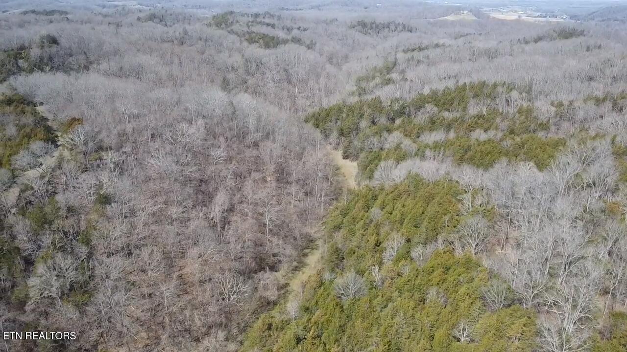 Bear Creek Road Bybee, TN 37713 - Photo 5 of 6 2025-03-14-13-07-23-374