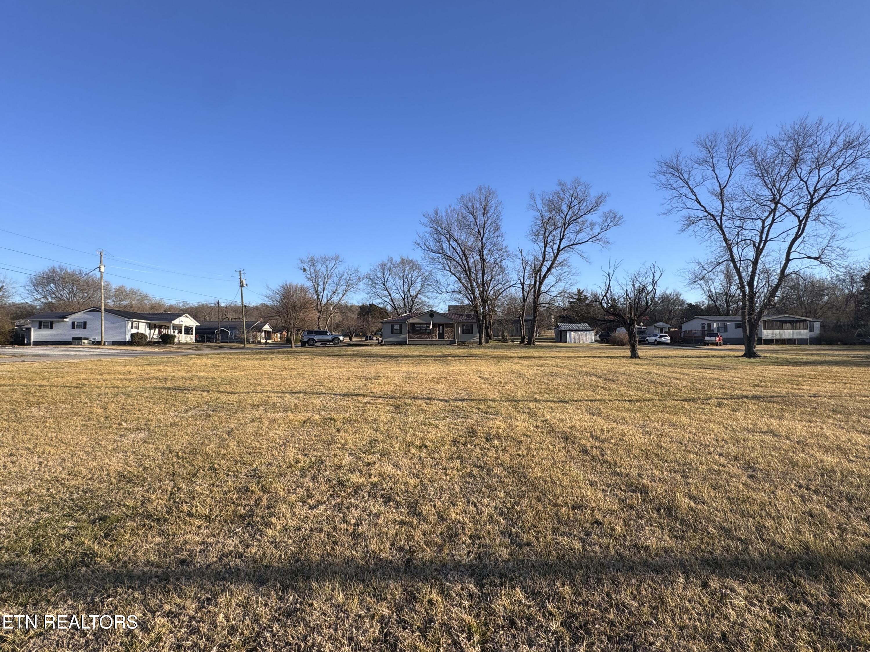 170 Dotson Road Greenback, TN 37742 - Photo 14 of 18 Front Lawn