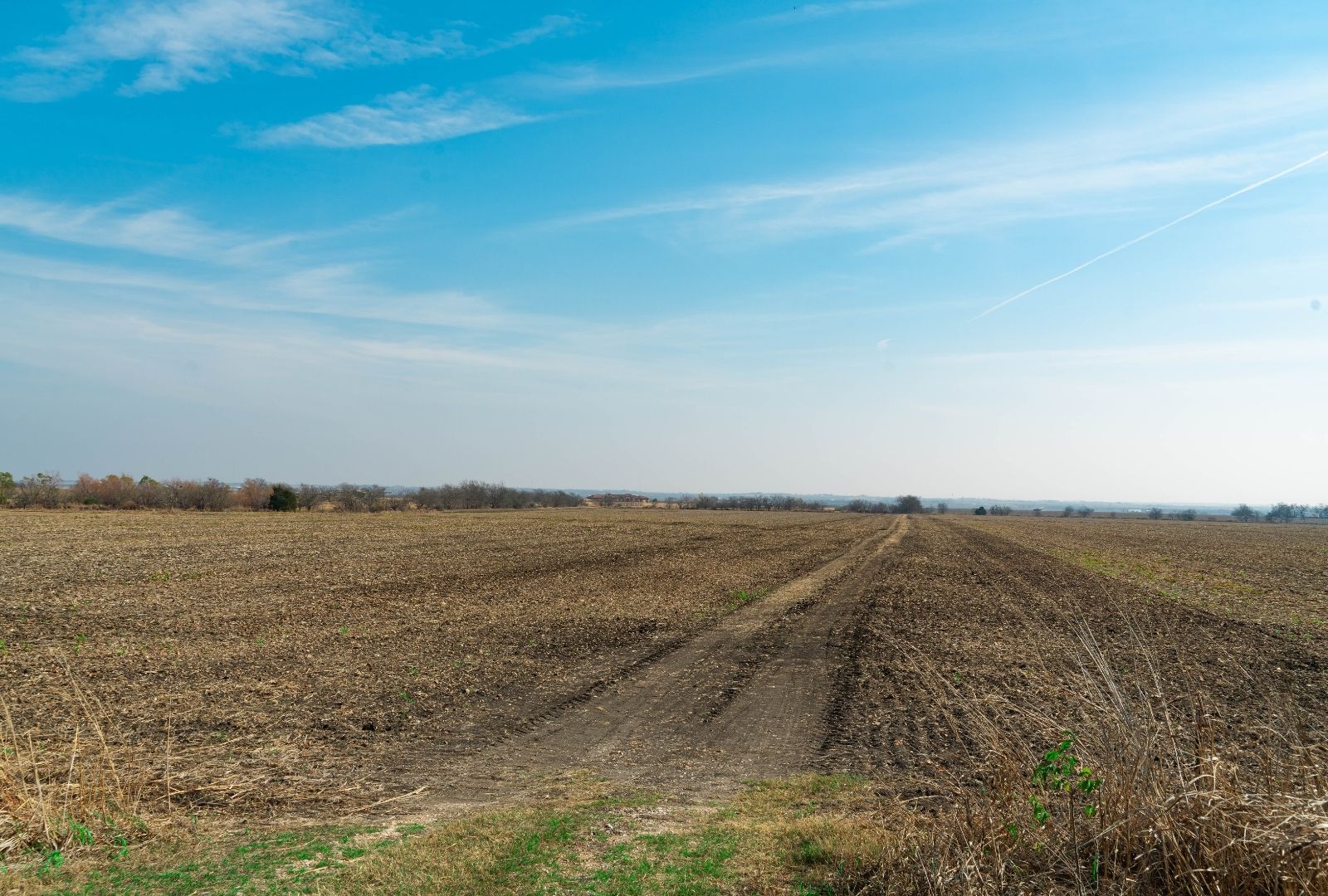18402 Manda Carlson Road Coupland, TX 78615 - Photo 11 of 29