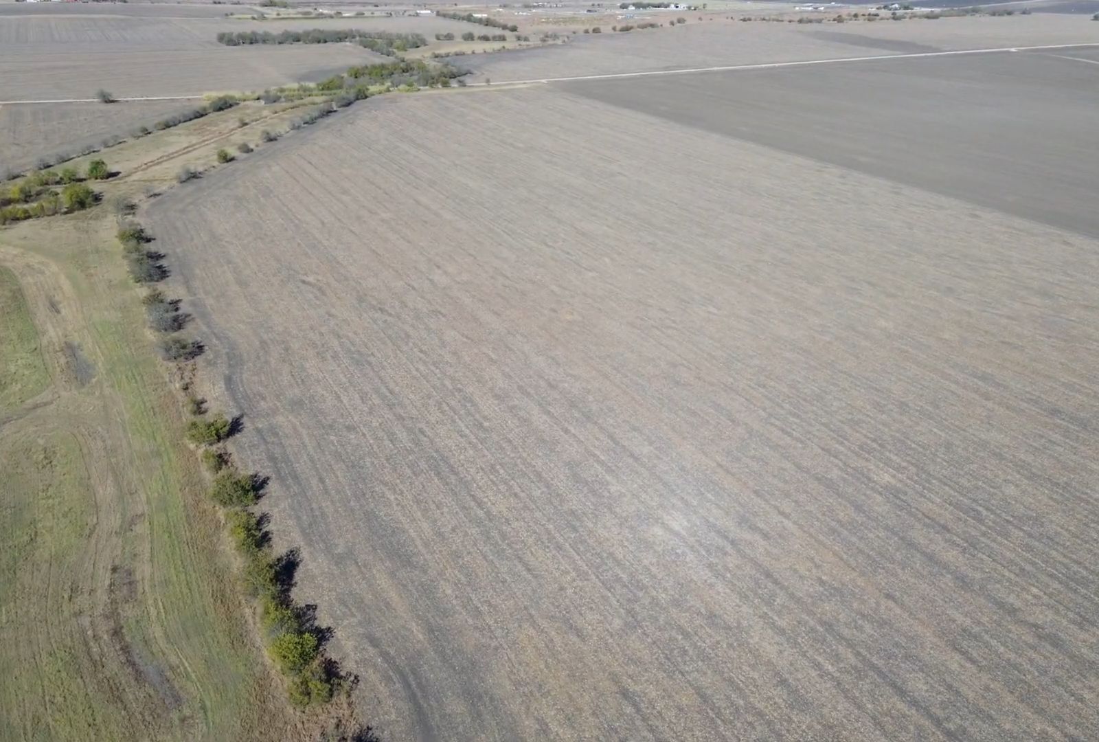 18402 Manda Carlson Road Coupland, TX 78615 - Photo 22 of 29