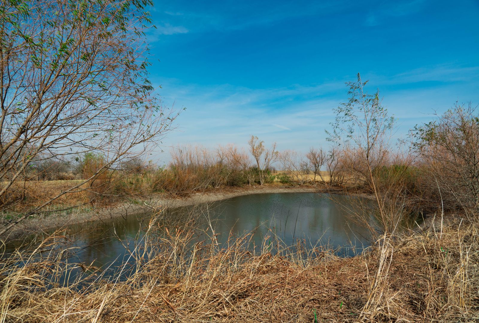 18402 Manda Carlson Road Coupland, TX 78615 - Photo 25 of 29