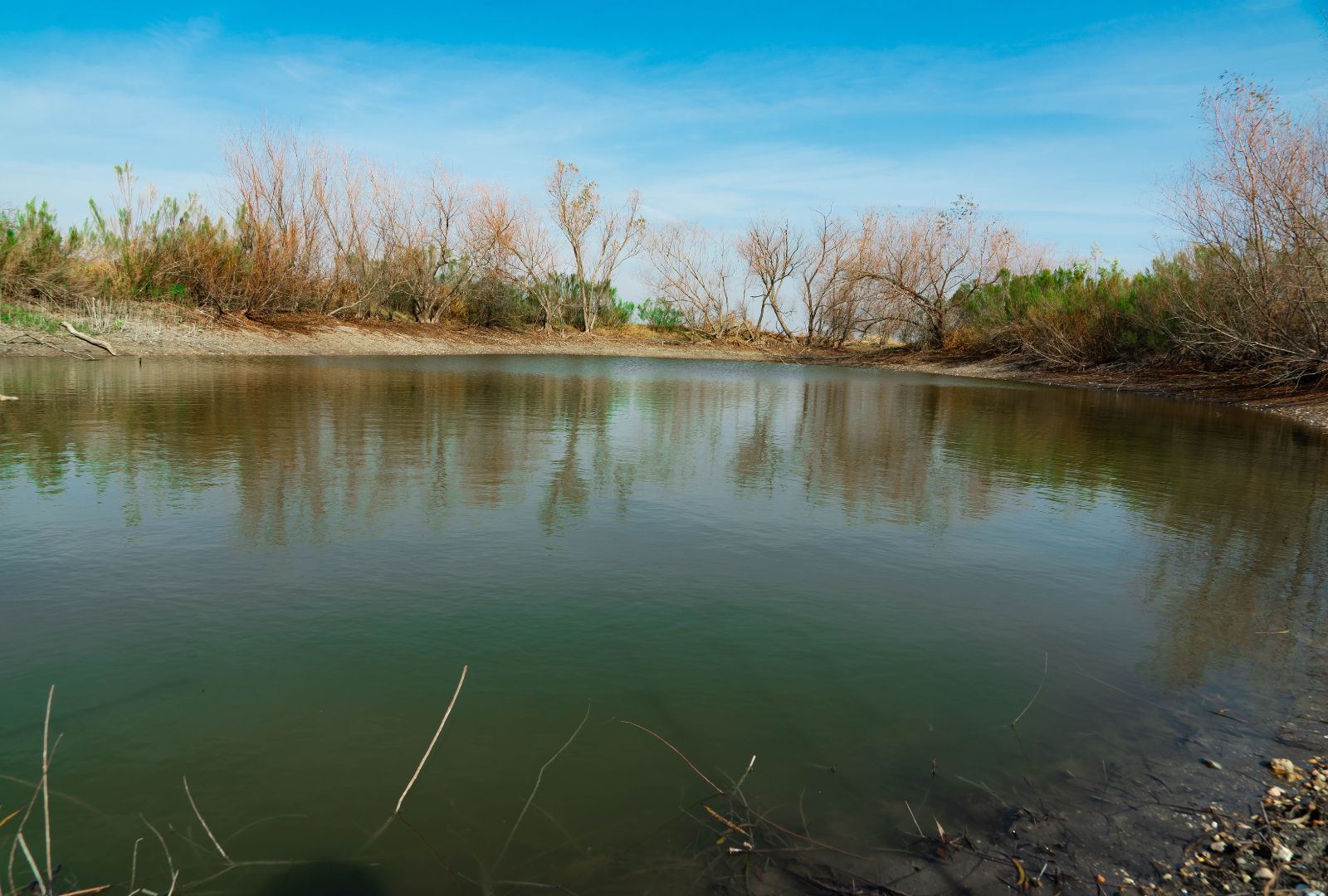 18402 Manda Carlson Road Coupland, TX 78615 - Photo 26 of 29