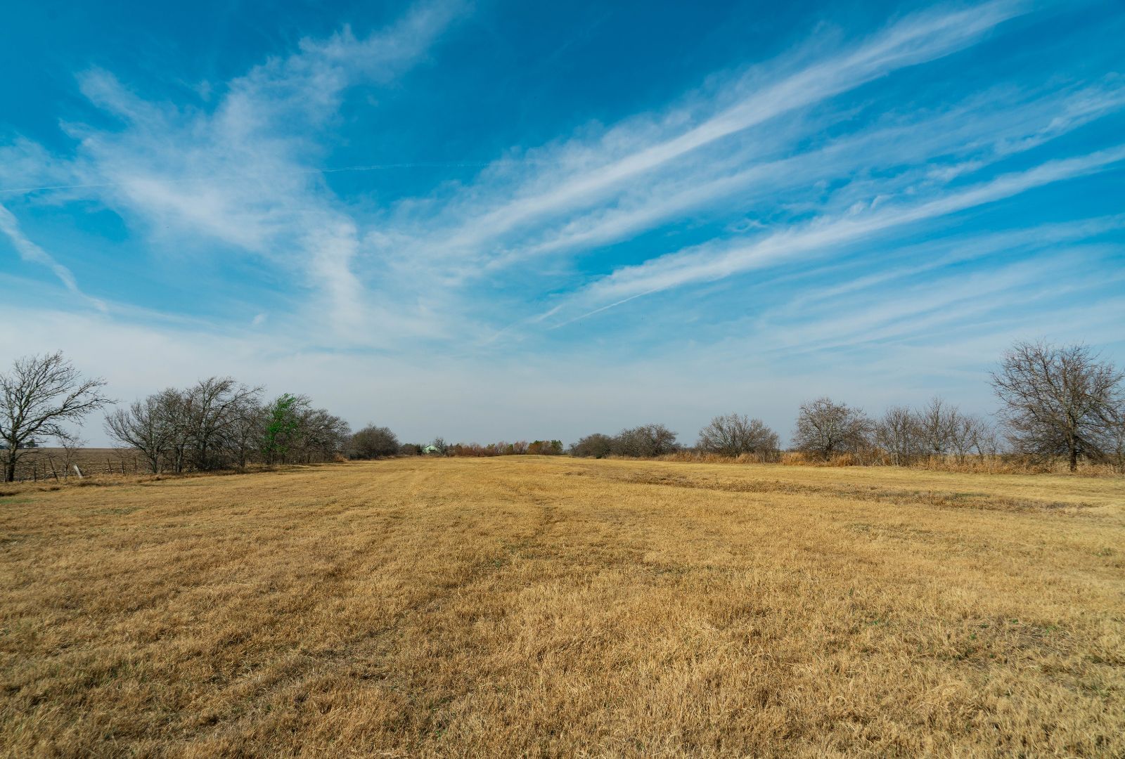 18402 Manda Carlson Road Coupland, TX 78615 - Photo 7 of 29